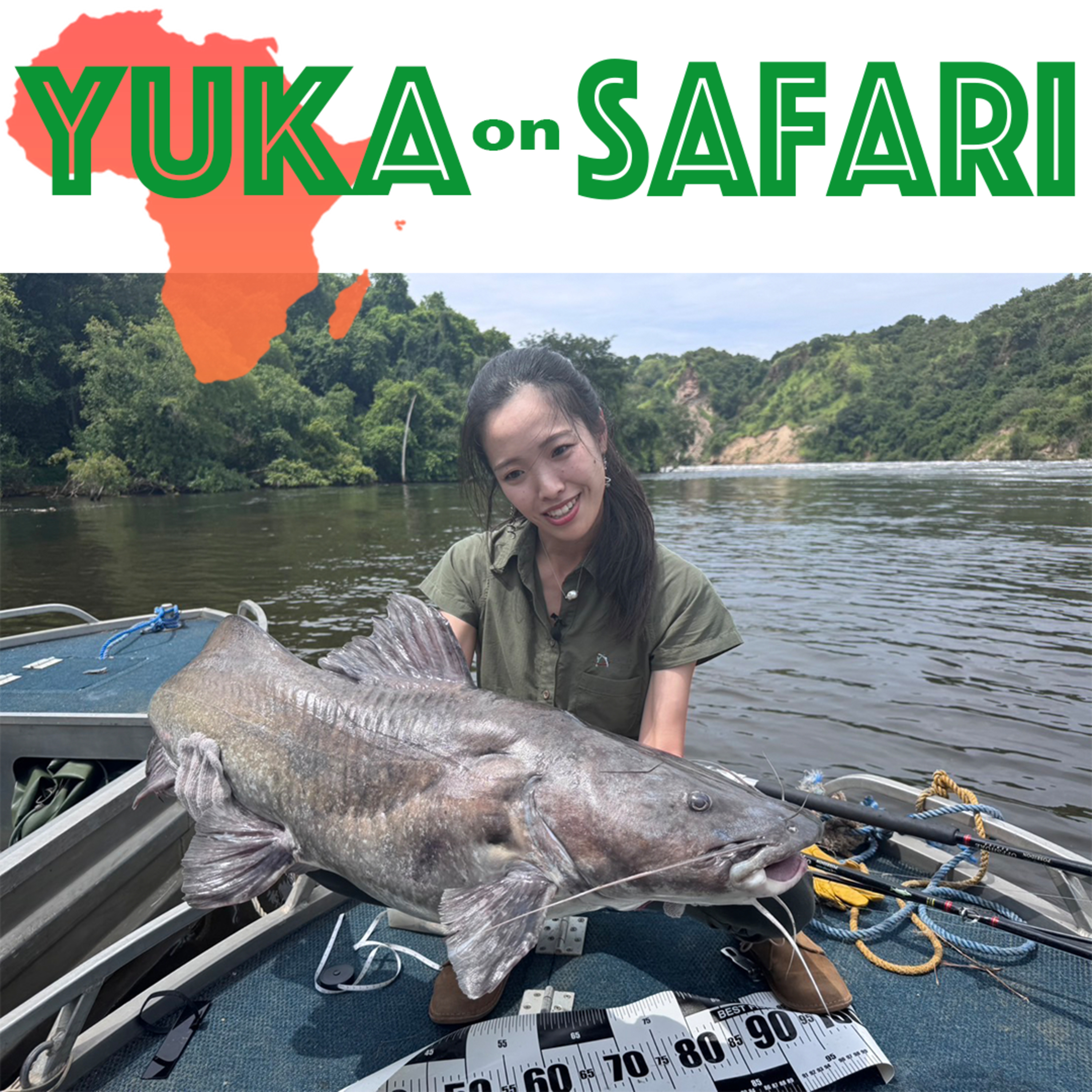 #143 【世界くらべてみたら裏話】絶滅したウガンダのサイを復活させる特別保護区とは？  episode artwork
