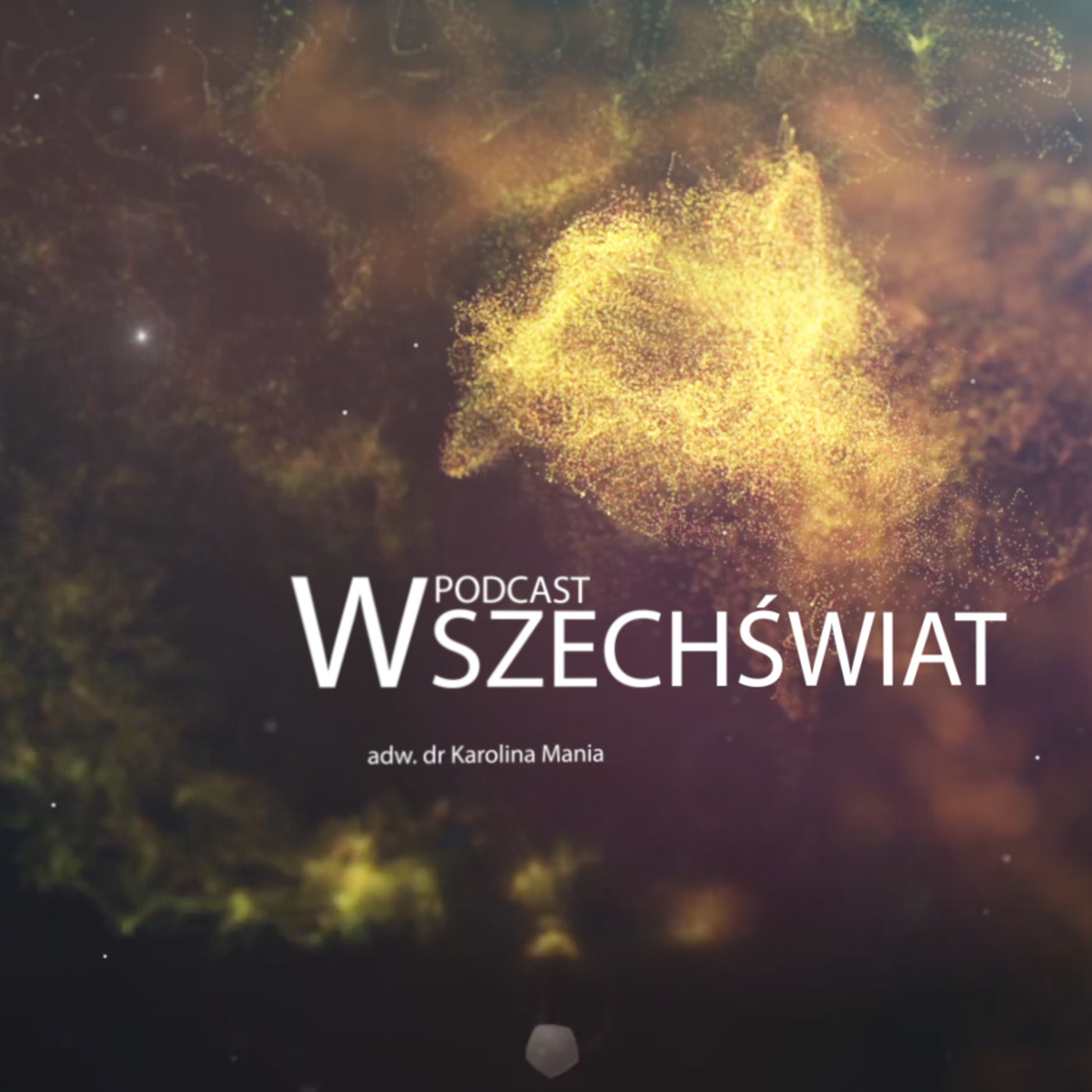 Co możemy wyczytać z uszkodzeń nici DNA? | Magda Kordon-Kiszala, Karolina Mania episode artwork