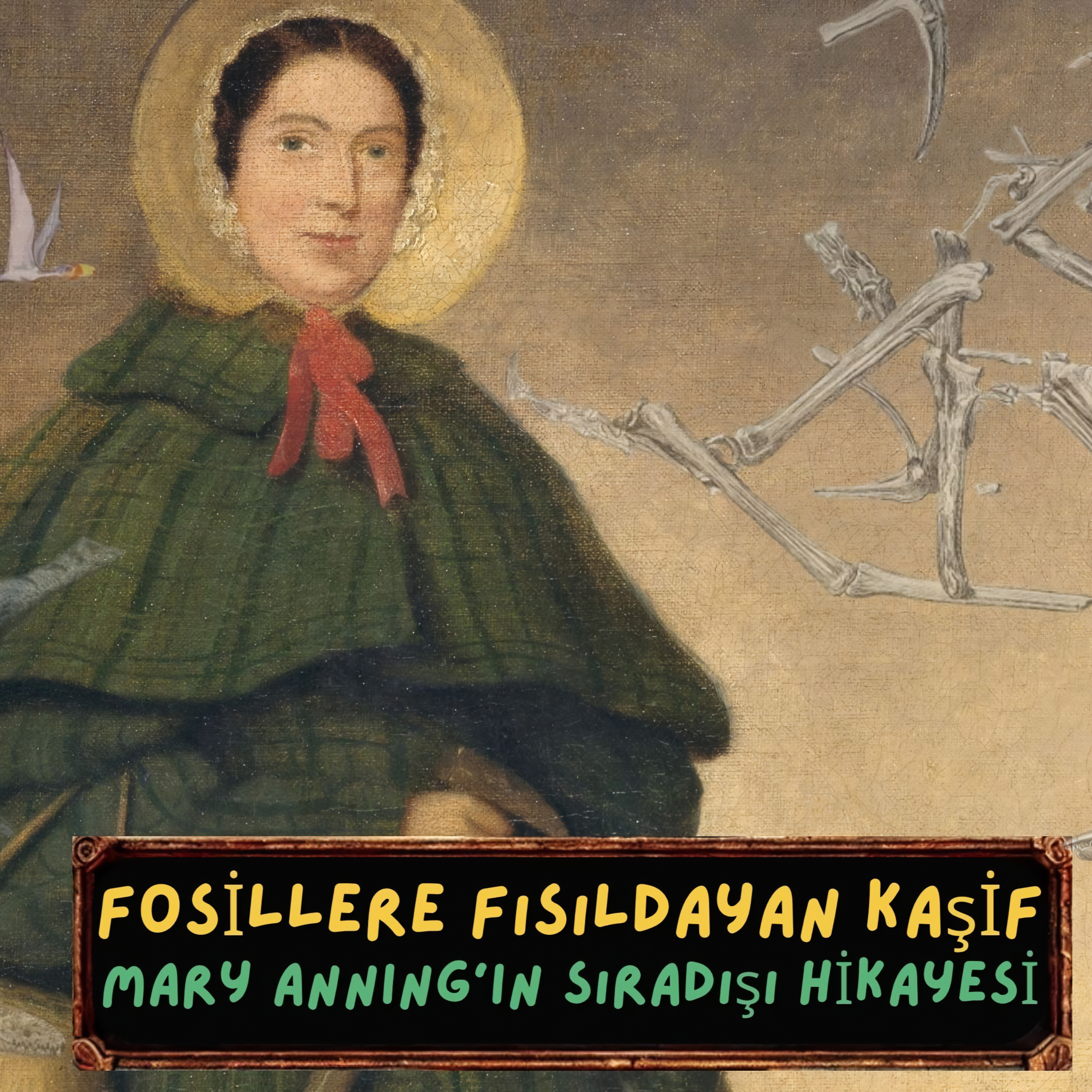 Cehalet Örtüsü