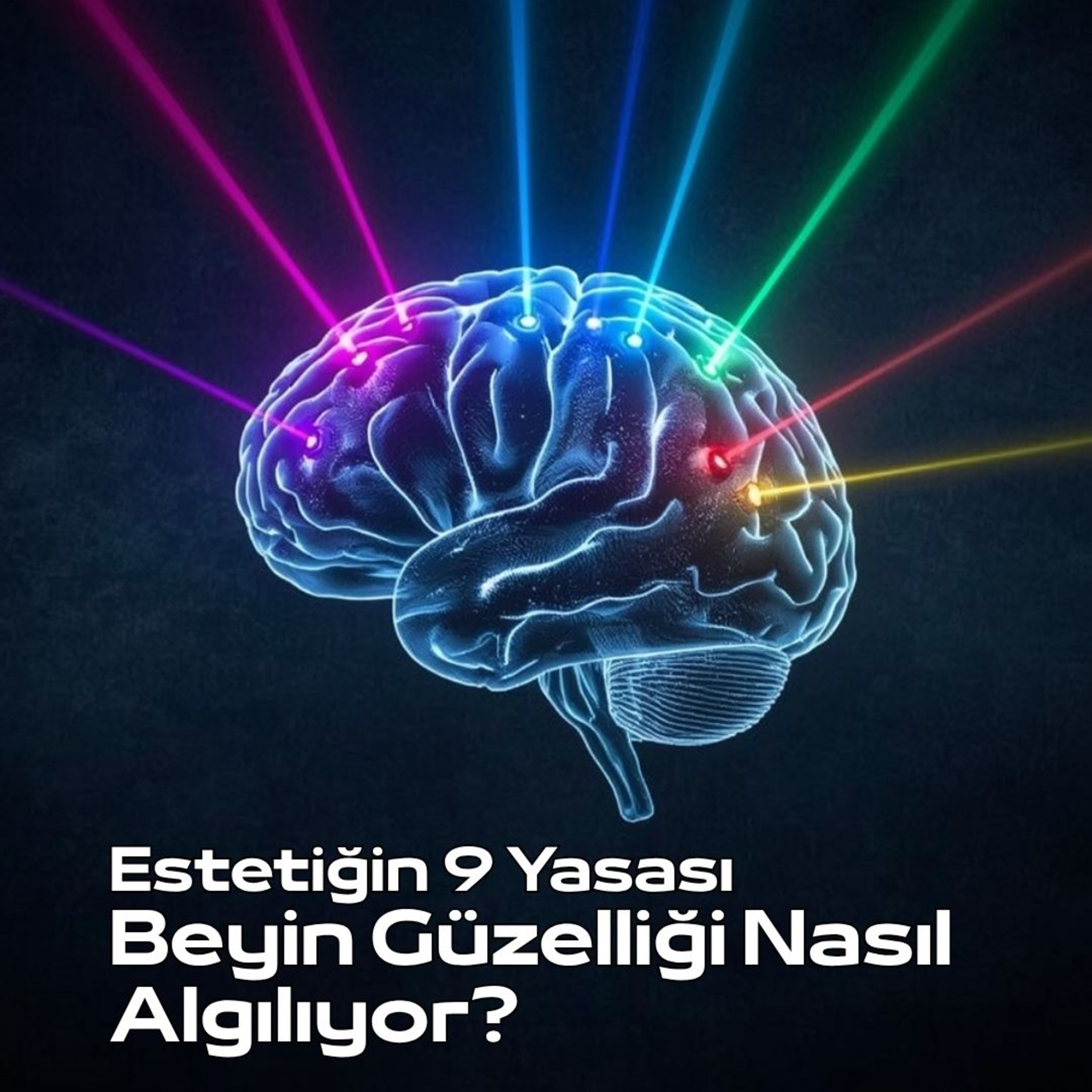 Estetiğin 9 Yasası ▎Beyin Güzelliği Nasıl Algılıyor?