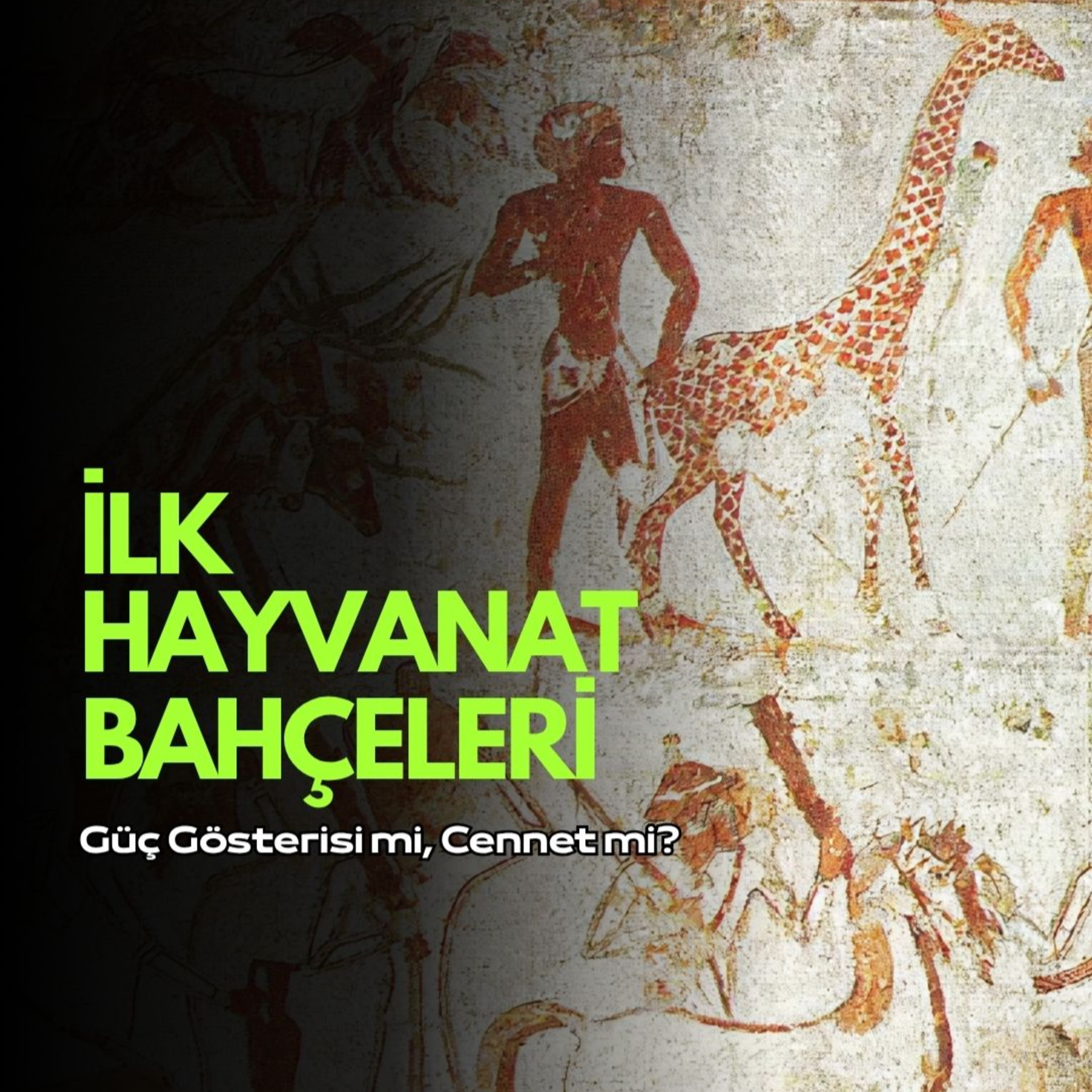 İLK HAYVANAT BAHÇELERİ ▎Güç Gösterisi mi, Cennet mi?