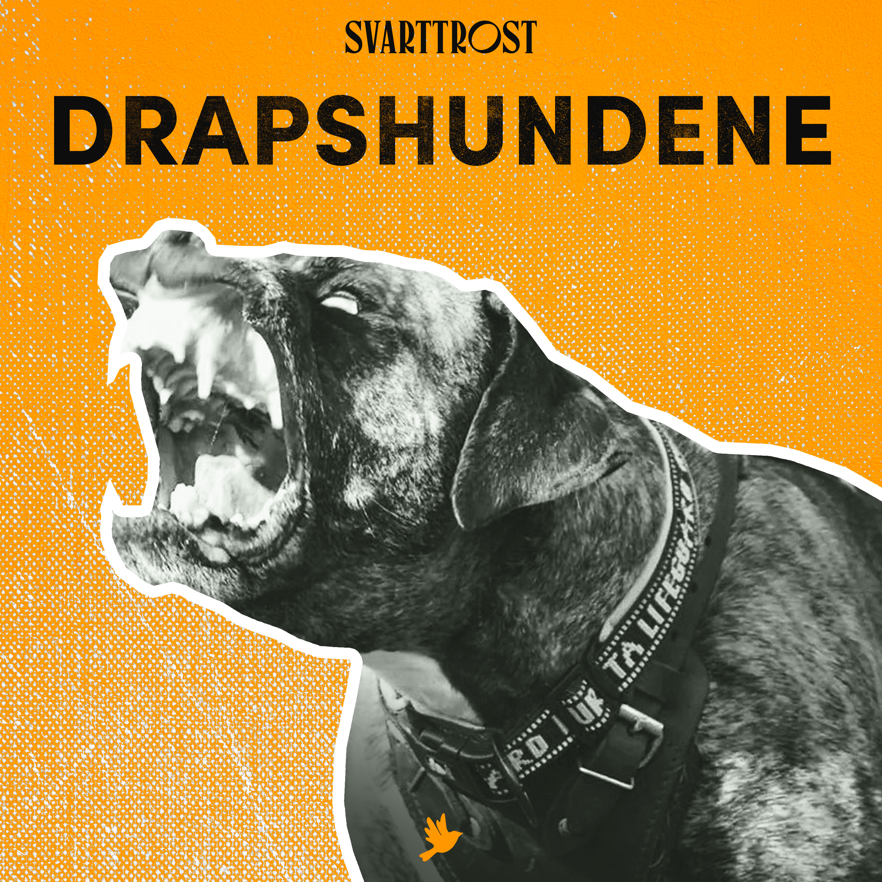 Drapshundene (1:6) Det anonyme tipset episode artwork