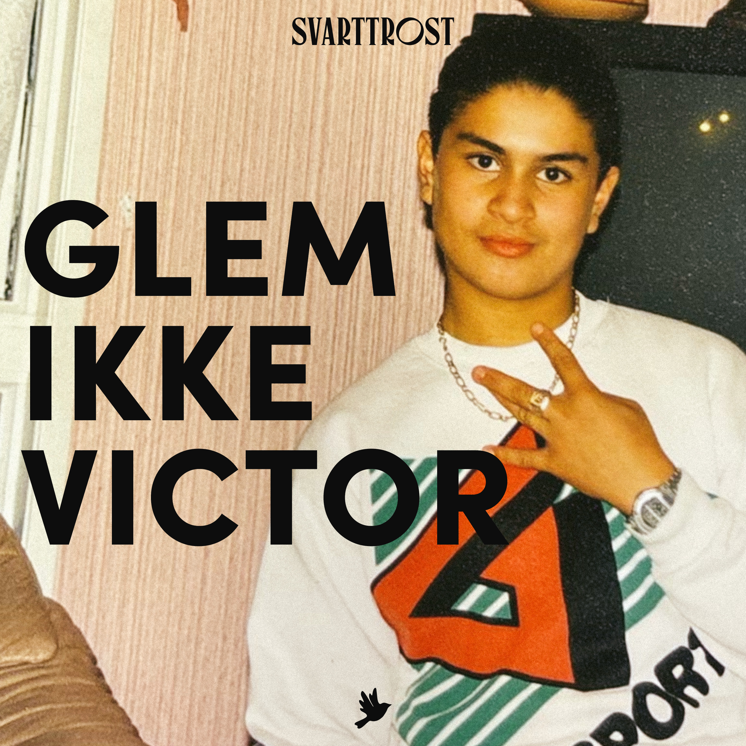 Glem ikke Victor (1:6) Gutten i skaret episode artwork