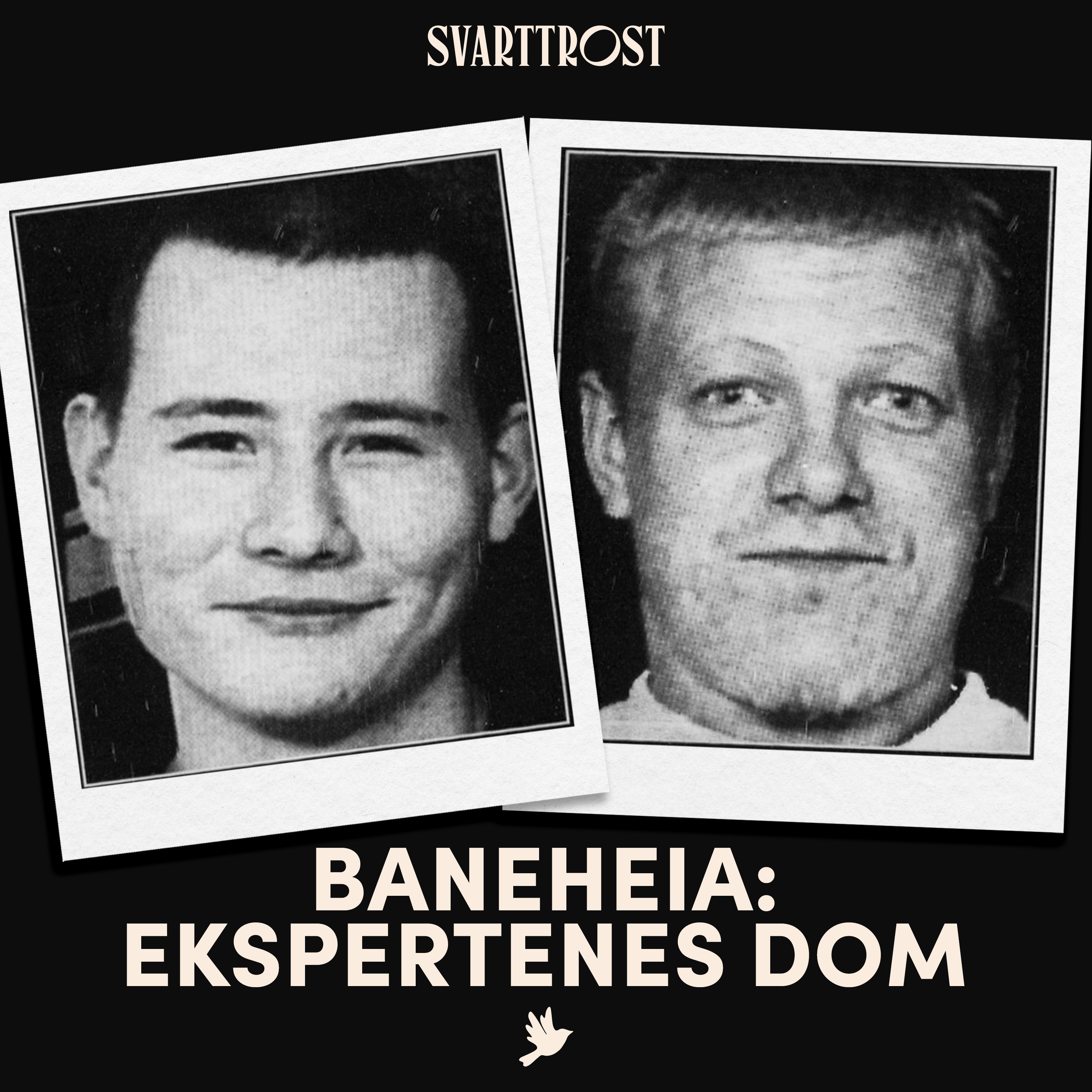 Trailer: Baneheia: Ekspertenes dom