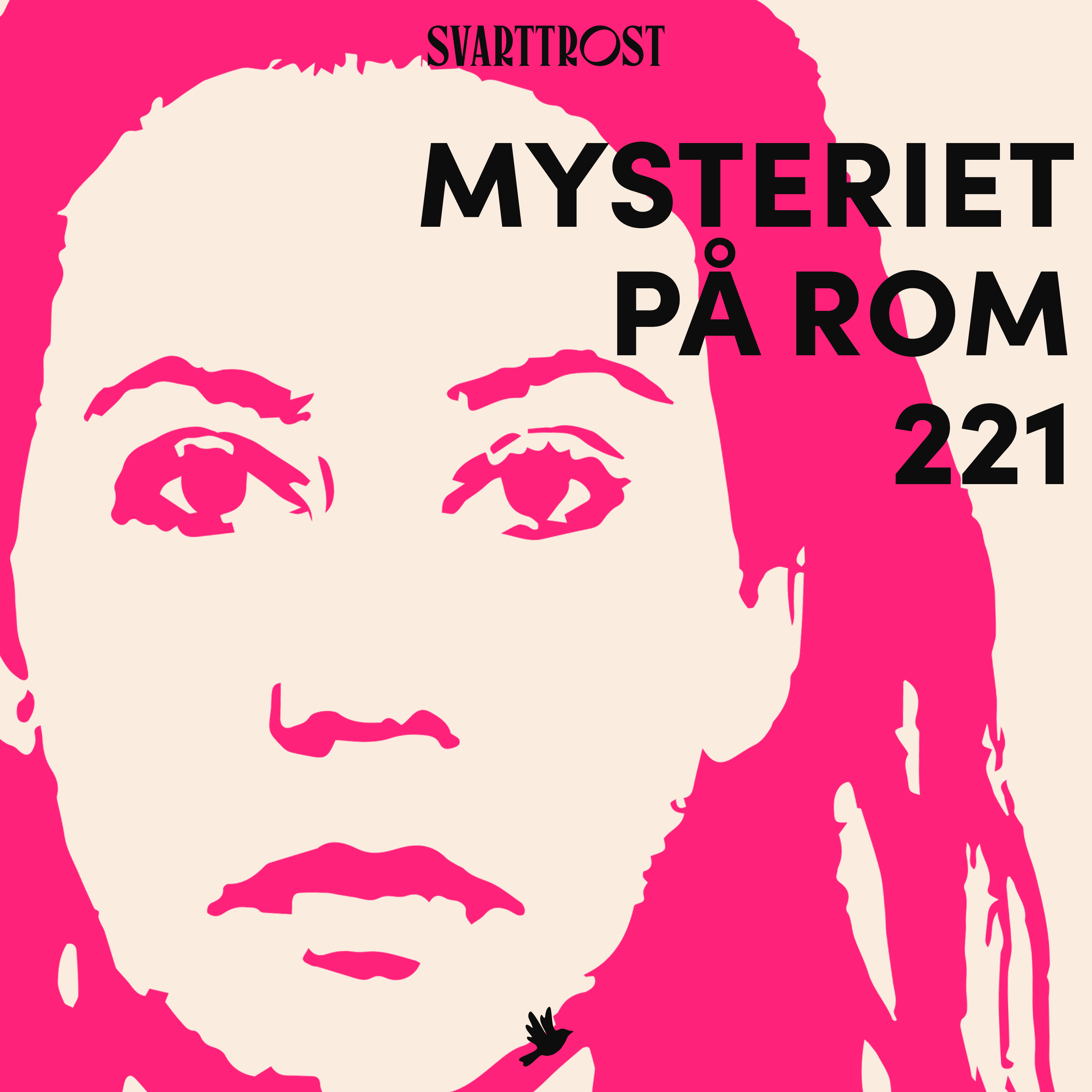 SOMMERBONUS: Mysteriet p&aring; rom 221 (1:7) Kvinnen p&aring; rommet