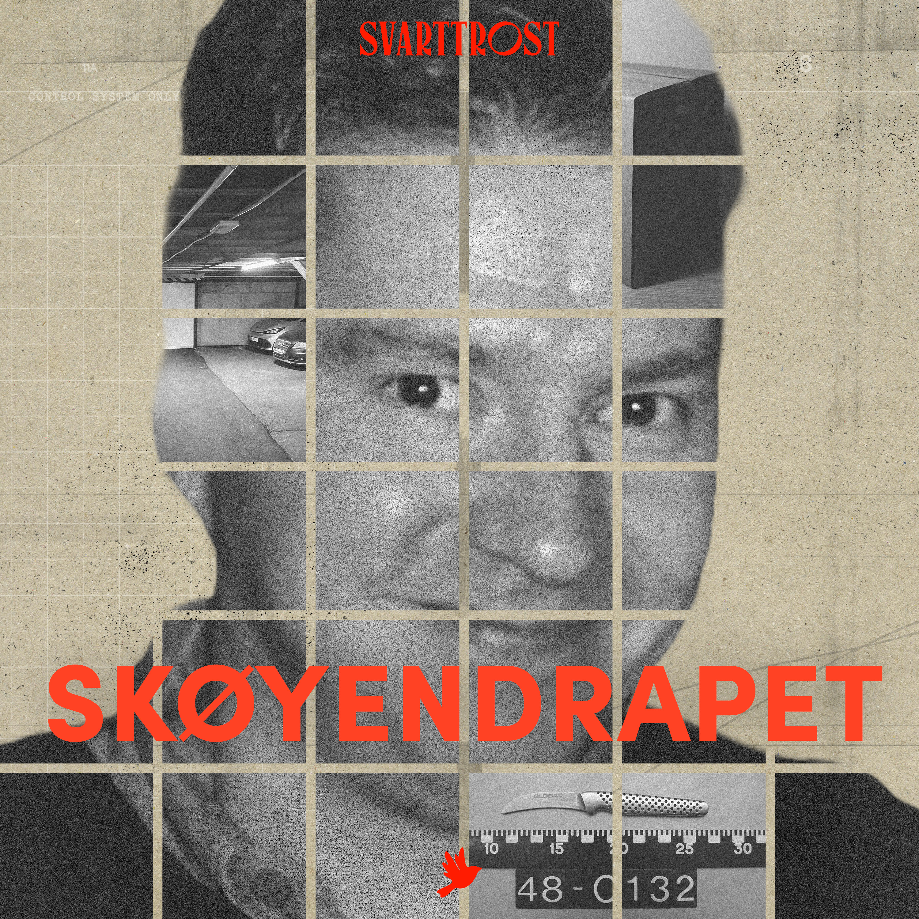 Skøyendrapet (2:7) Etterforskningen