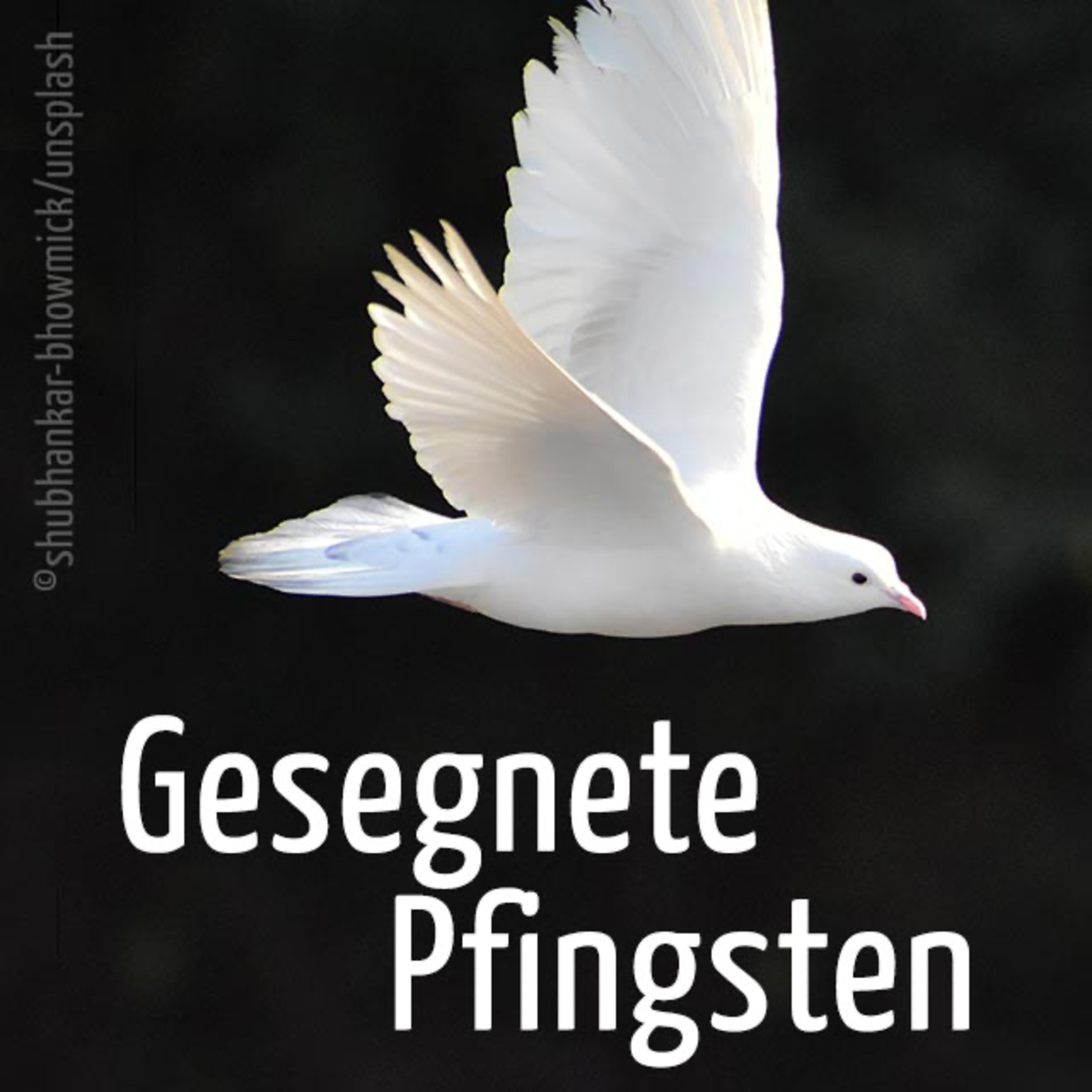 Predigten aus der Friedenskirche