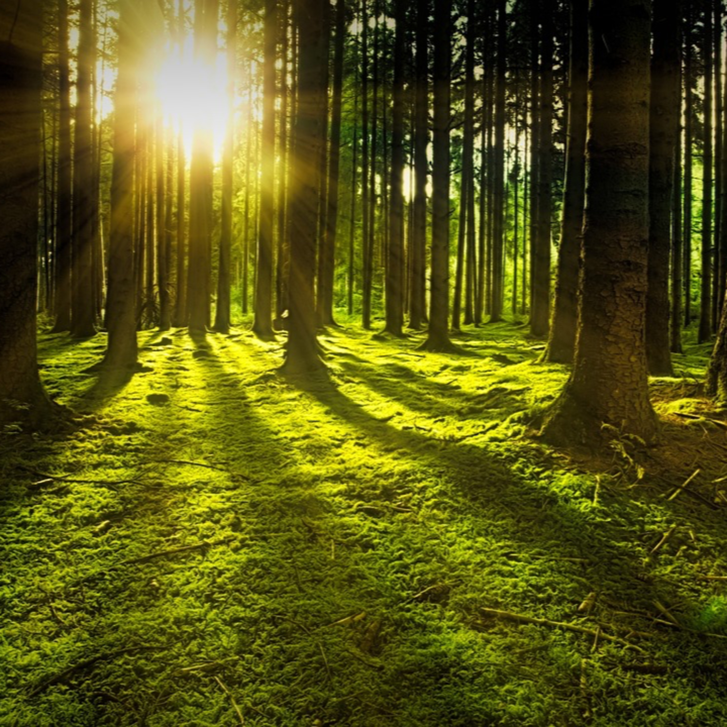 Auf Anfang | Sebastian Rußkamp episode artwork