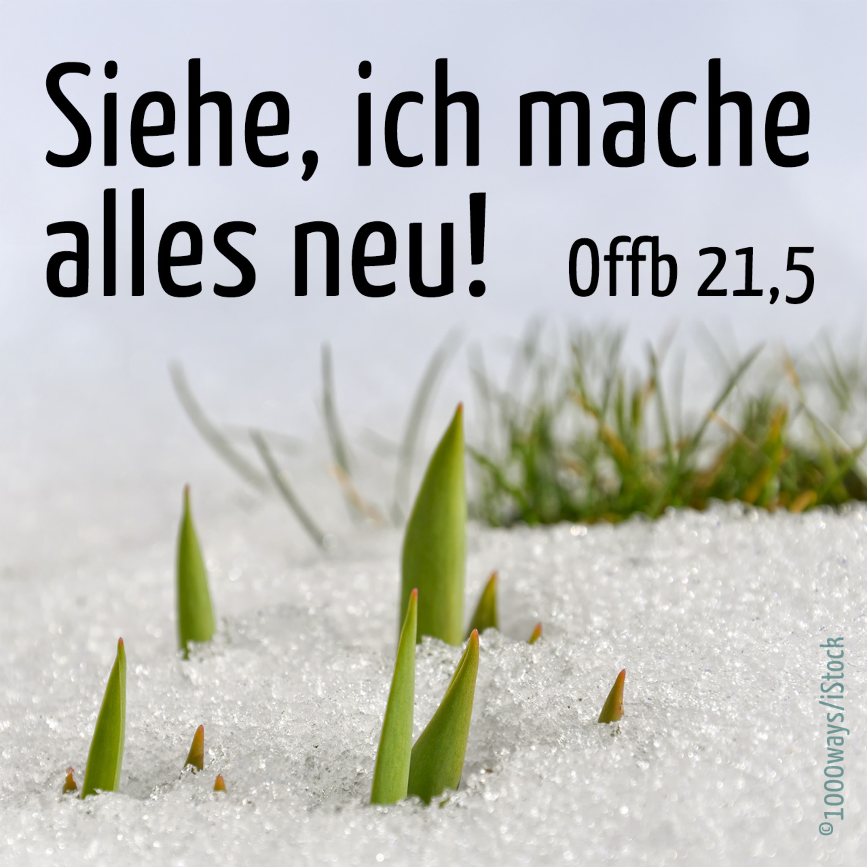 Predigten aus der Friedenskirche