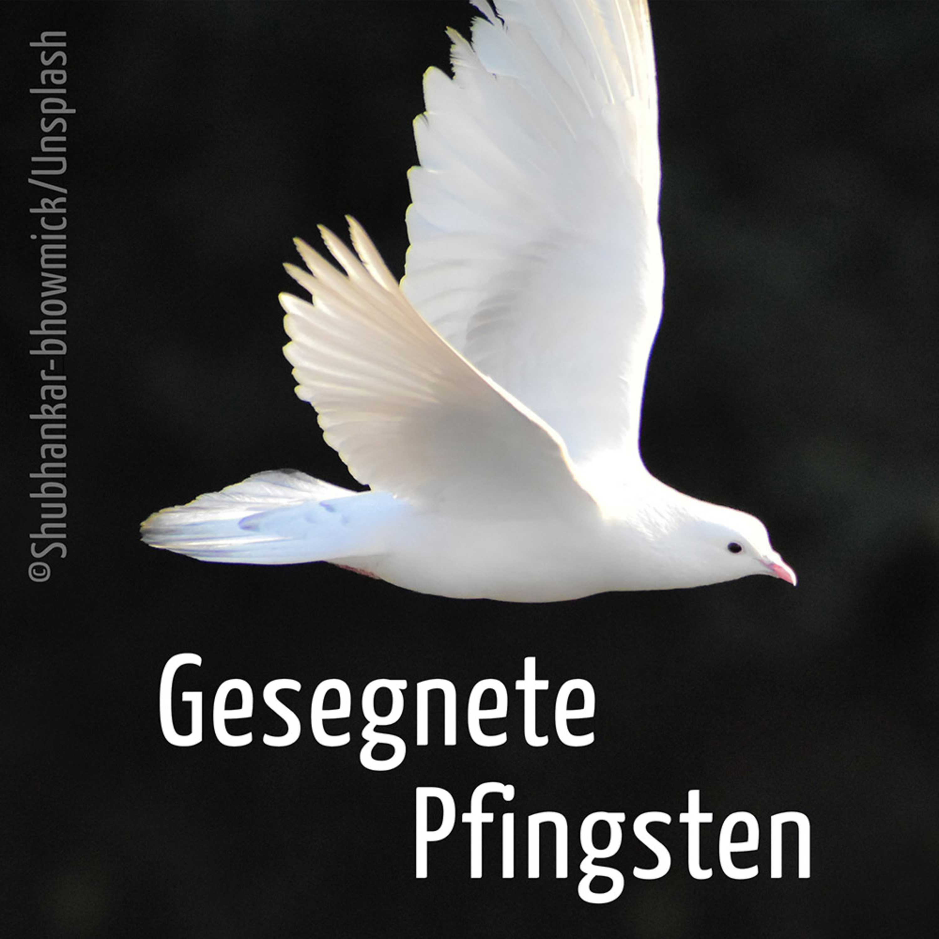 Geist zum Leben | Ruth Greiner episode artwork