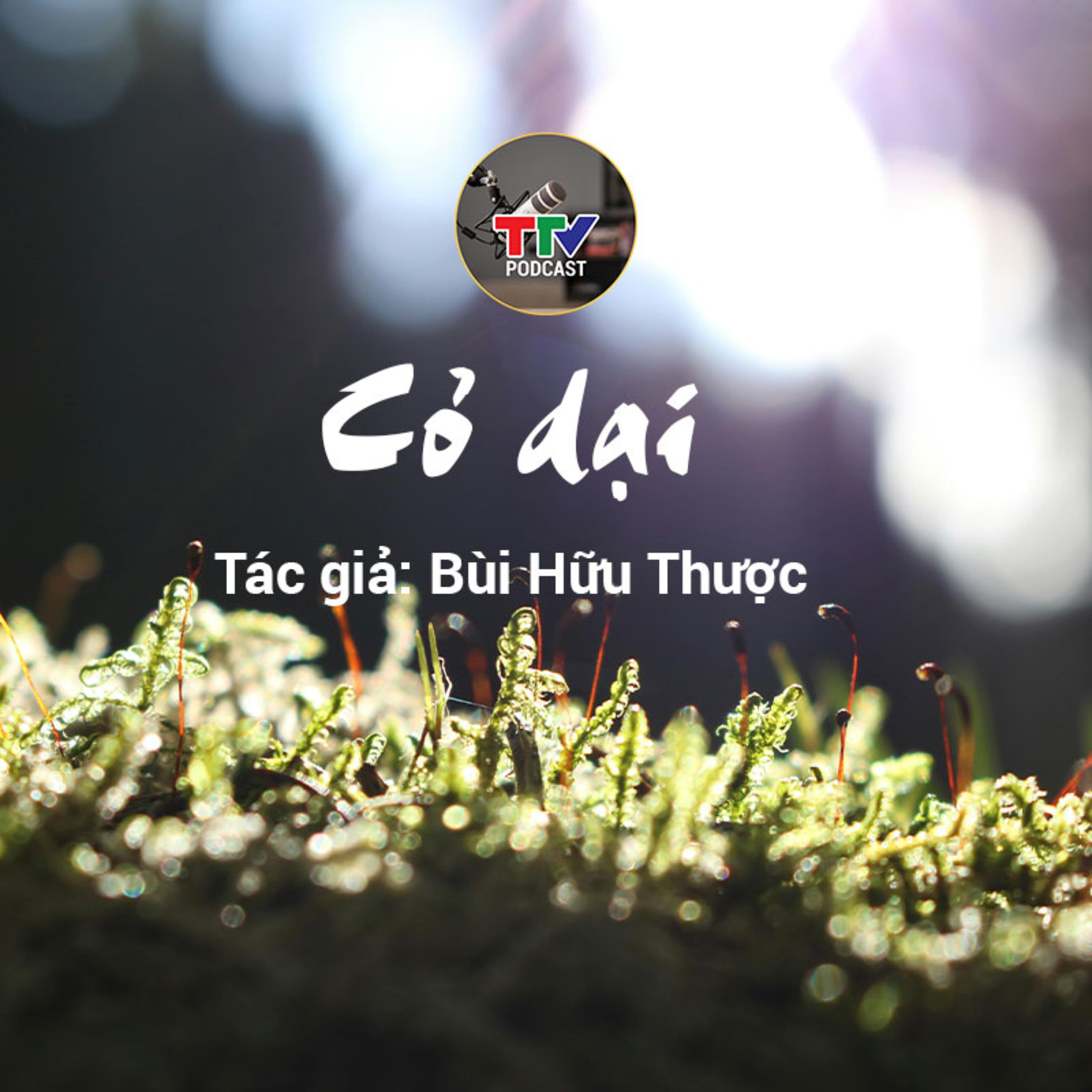 Văn học - Nghệ thuật xứ Thanh