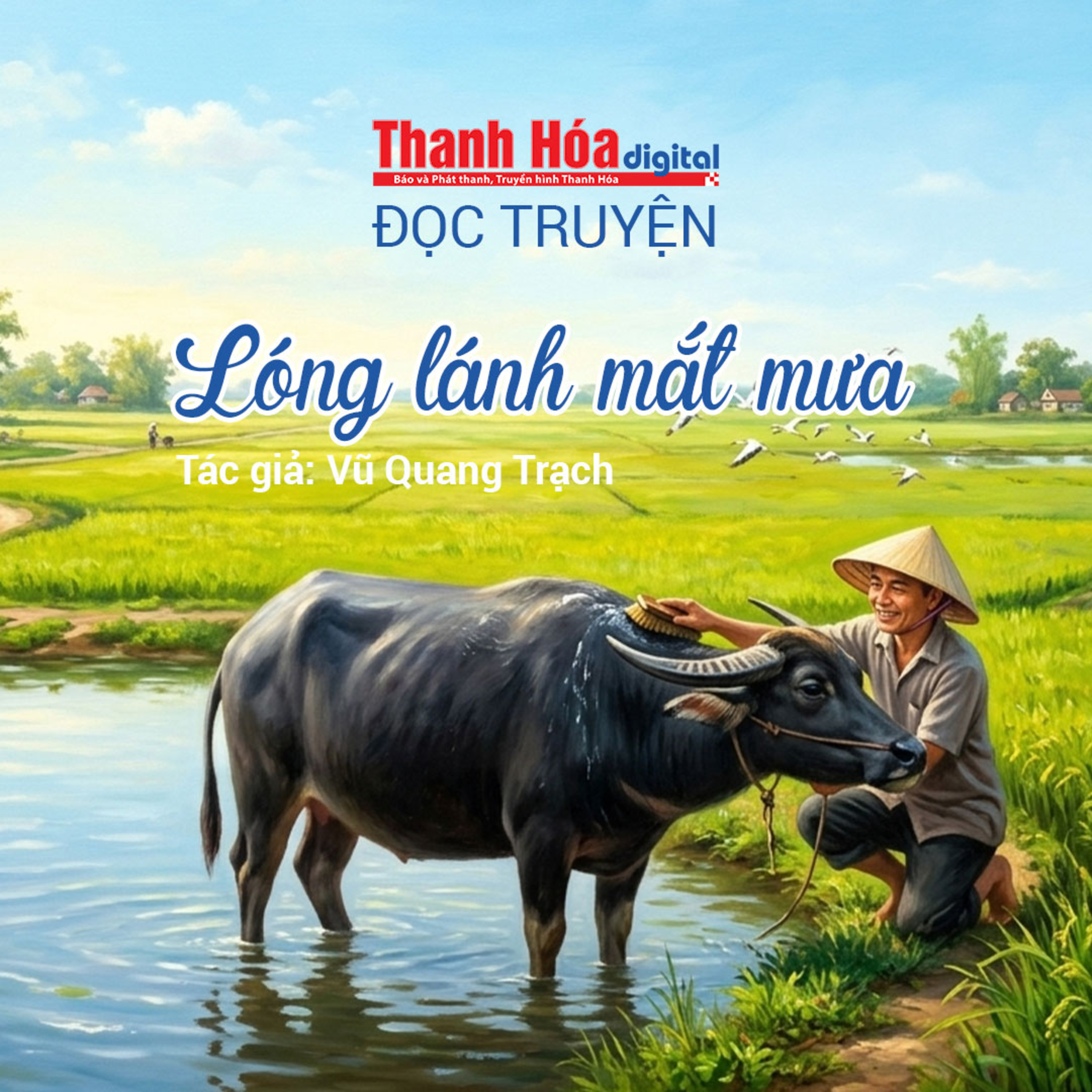 Truyện ngắn "Lóng lánh mắt mưa" - Vũ Quang Trạch episode artwork