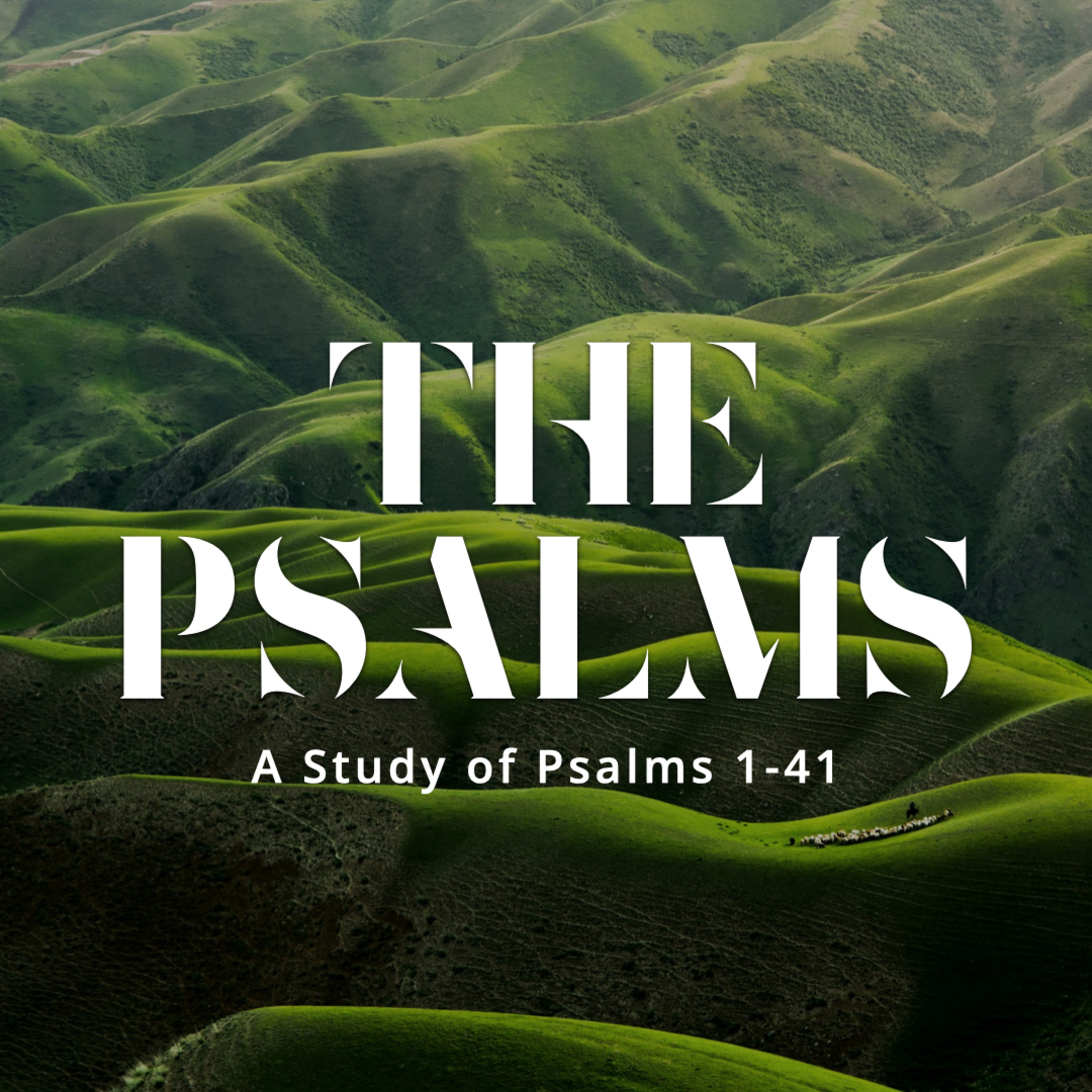 Wayne Meadows - That's a Great Question (Psalm 15)