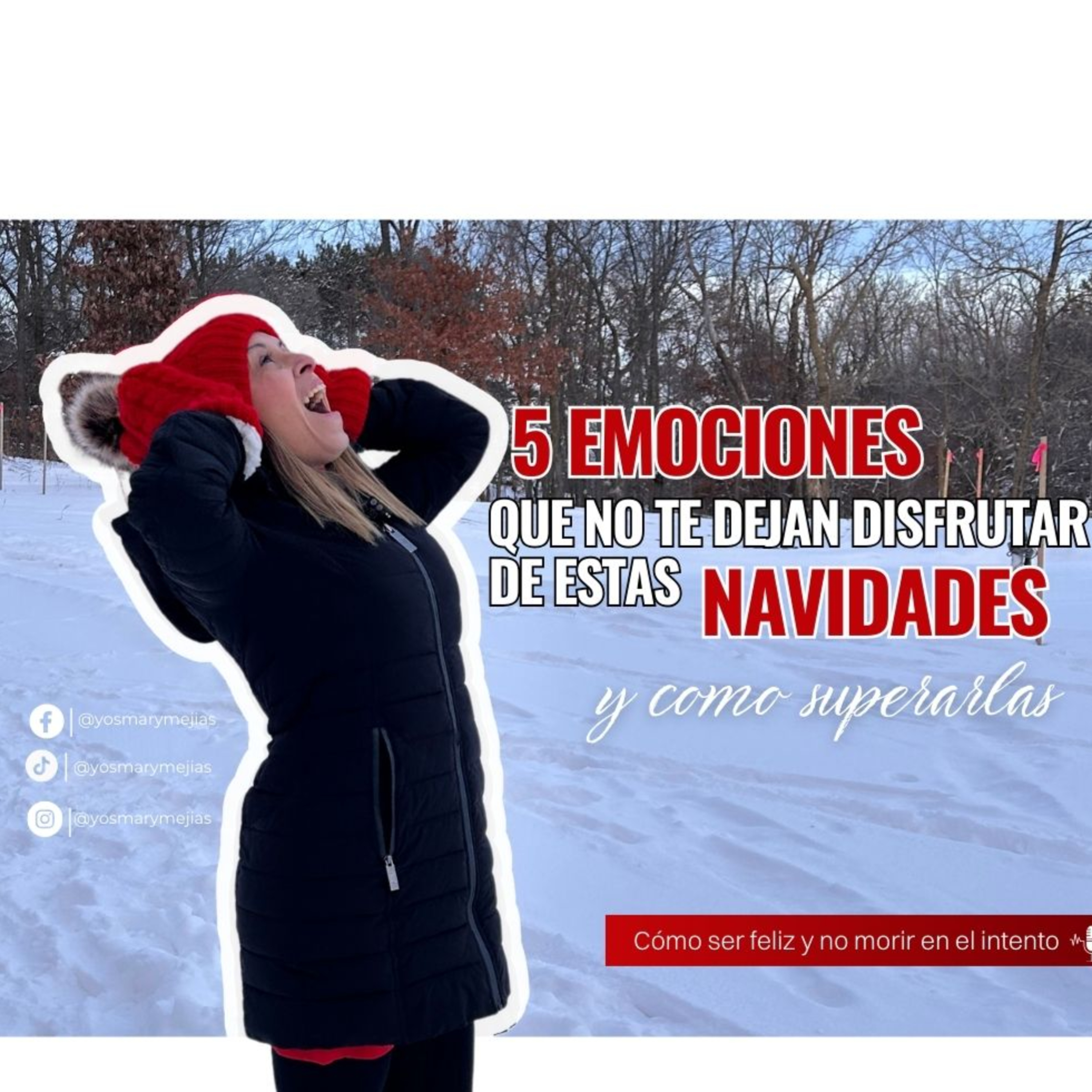 Portada de Cómo ser feliz y no morir en el intento.
