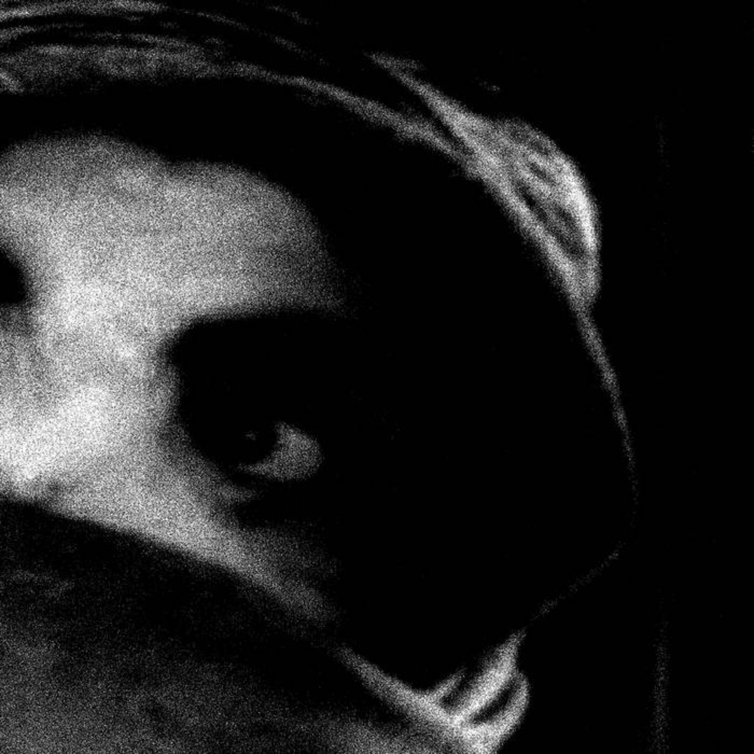 The Body, "The Crying Out of Things," (11/8/24), Review