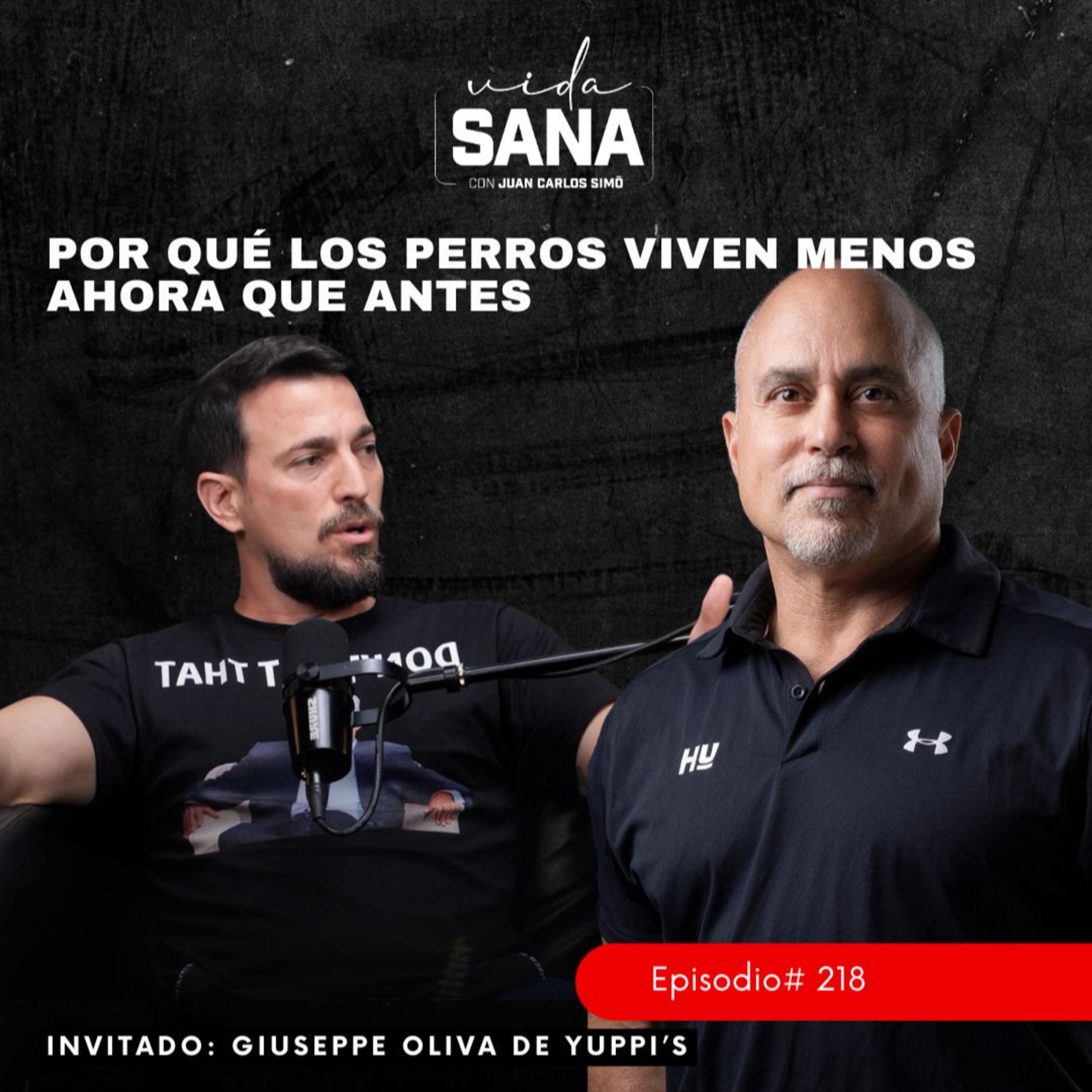 Por qué los perros viven menos ahora que antes – Ep. 218
