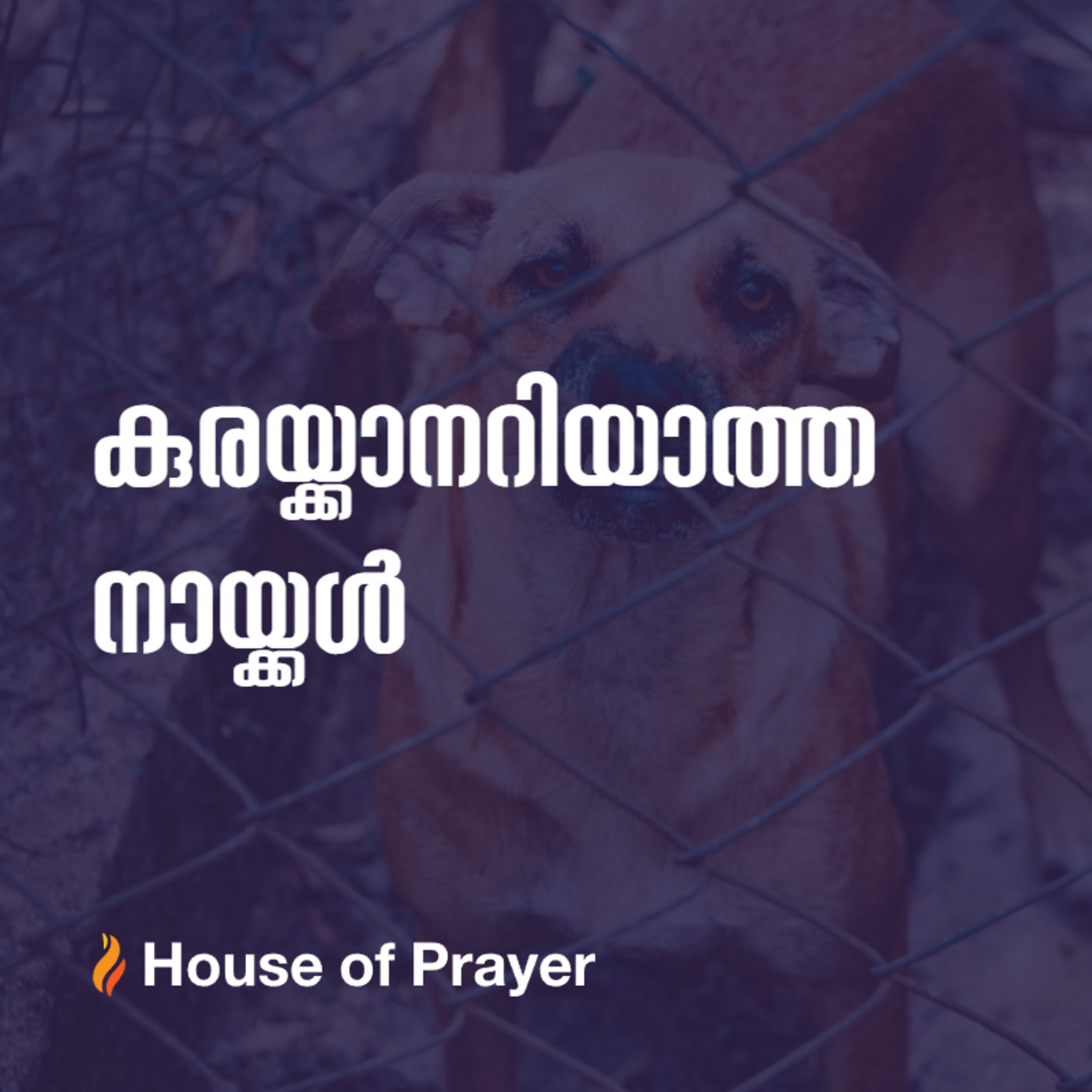 House of Prayer