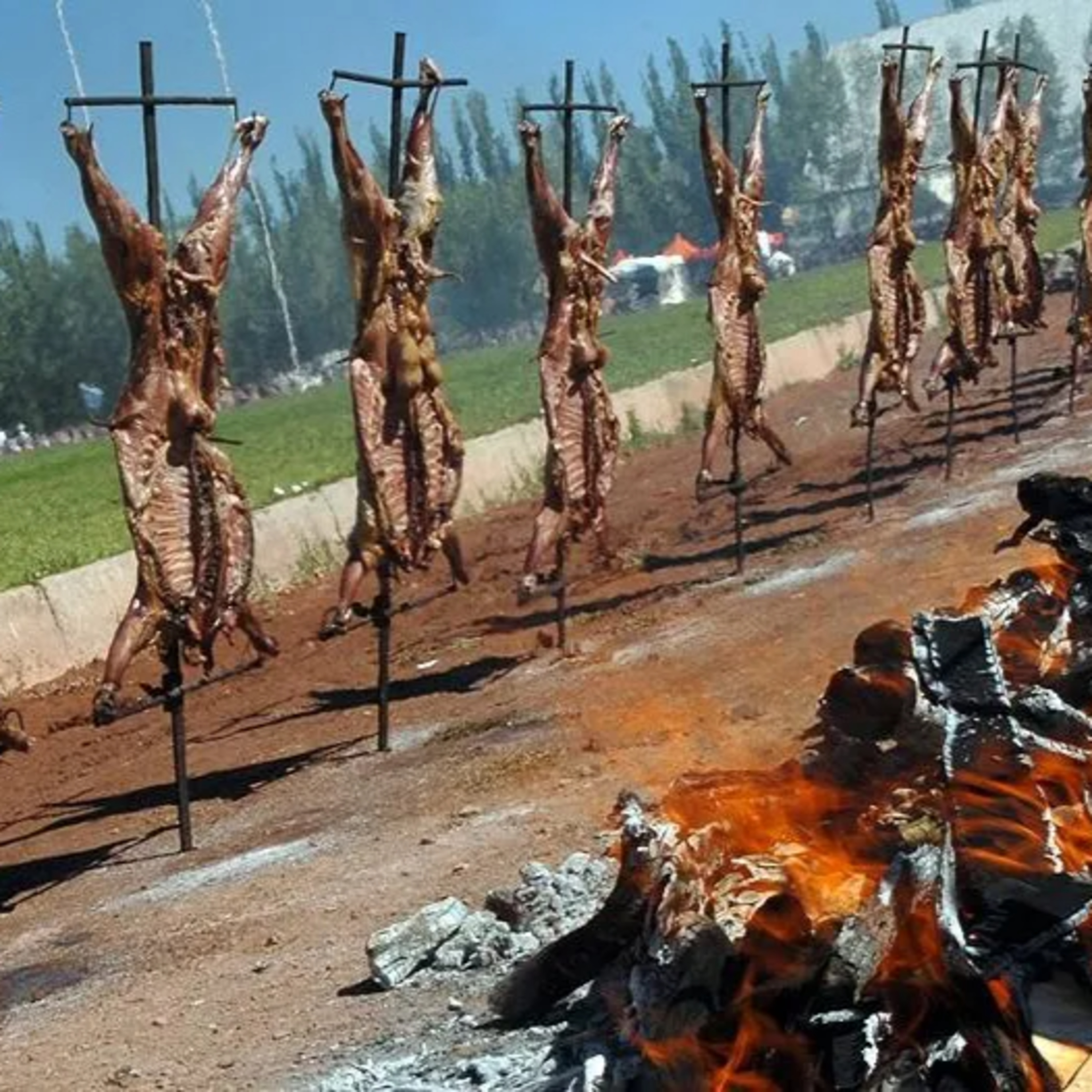 Fiesta Nacional del Chivo - Daniel Von Zedtwitz episode artwork