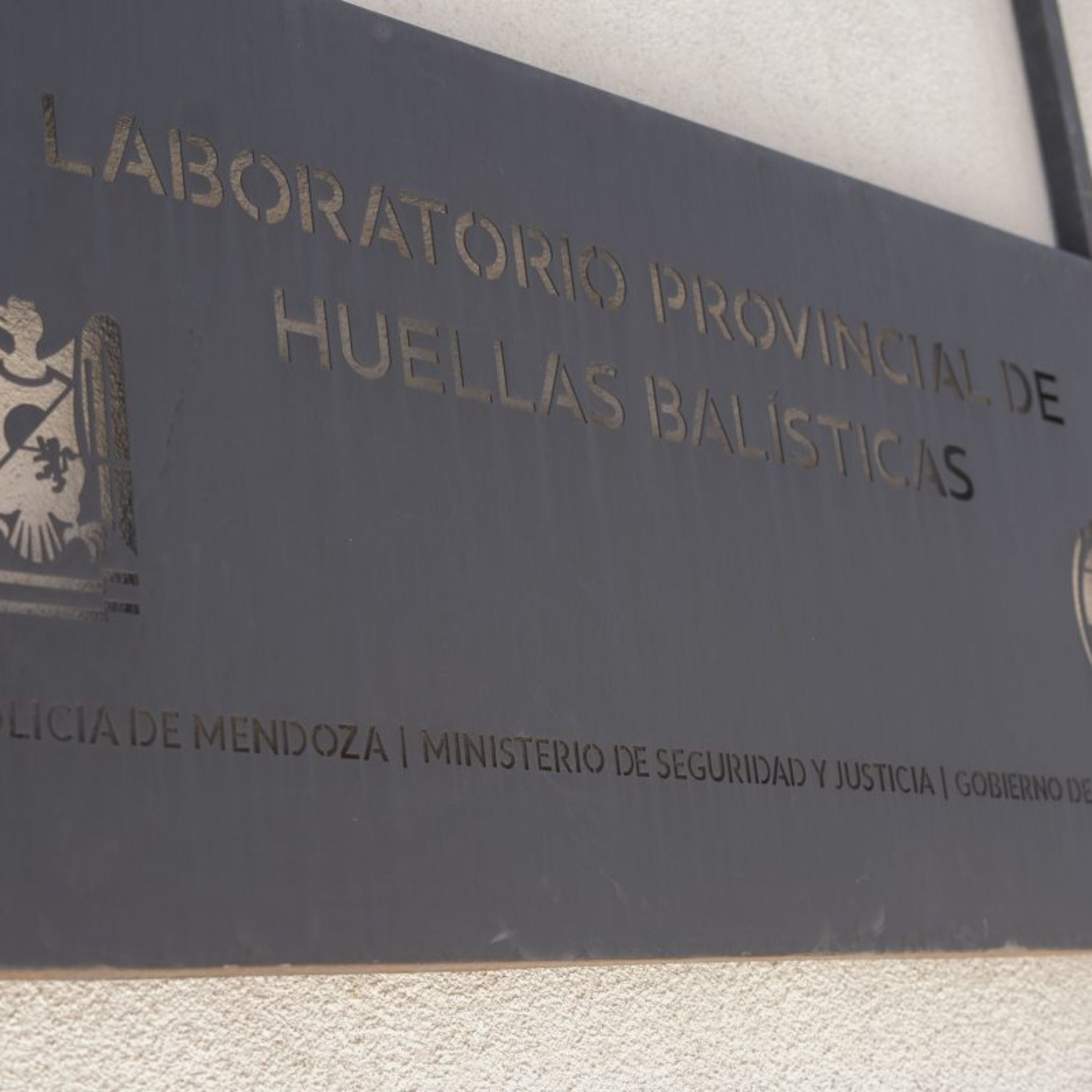 Nuevo laboratorio de balística que está en una red de Interpol - Silvana Girula episode artwork