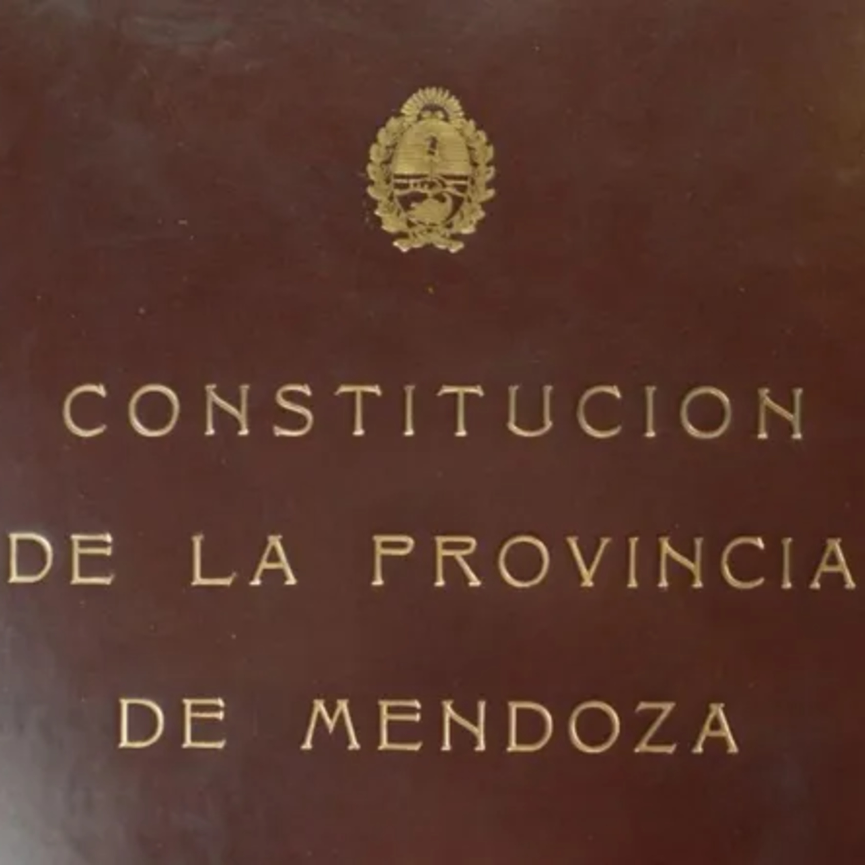 En búsqueda de la reforma constitucional - Natalio Mema episode artwork