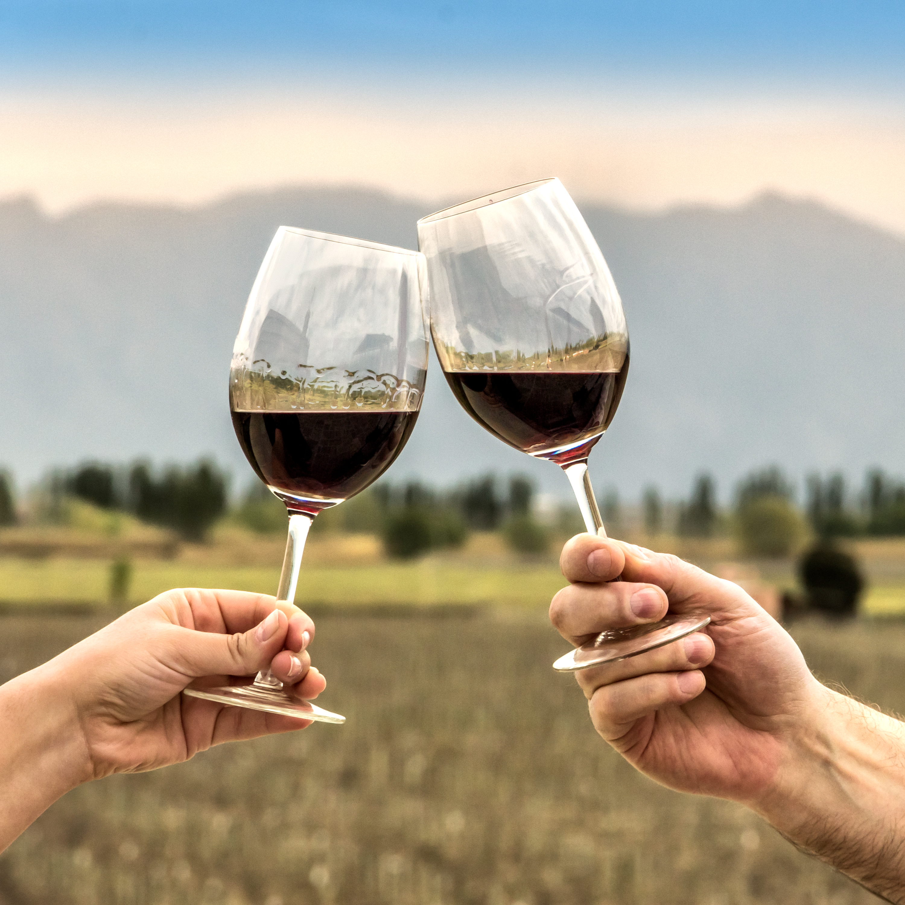 Día mundial del malbec - Roberto de la Mota  episode artwork