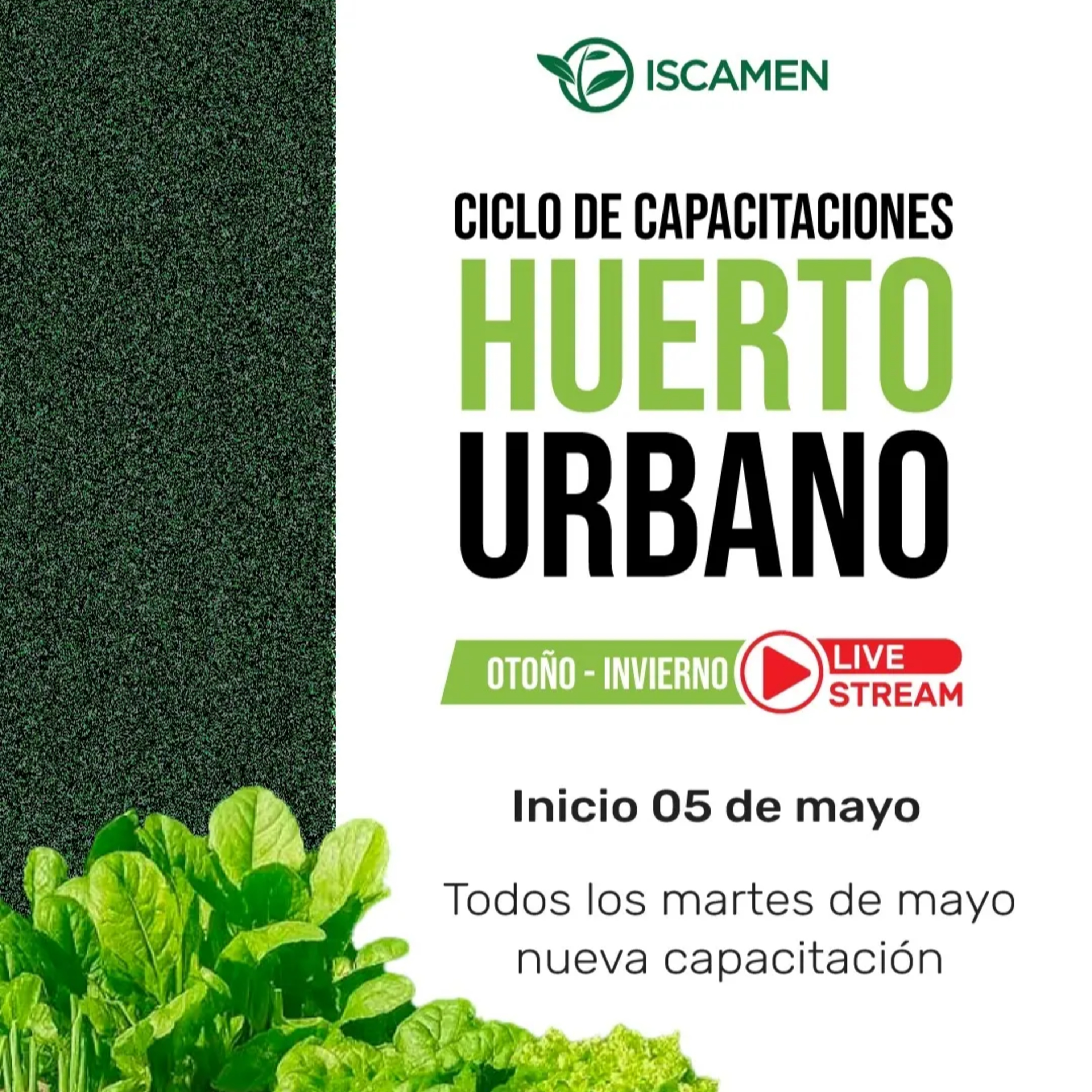 Ciclo de capacitaciones virtuales sobre huertas urbanas - Gastón Crauchuk episode artwork
