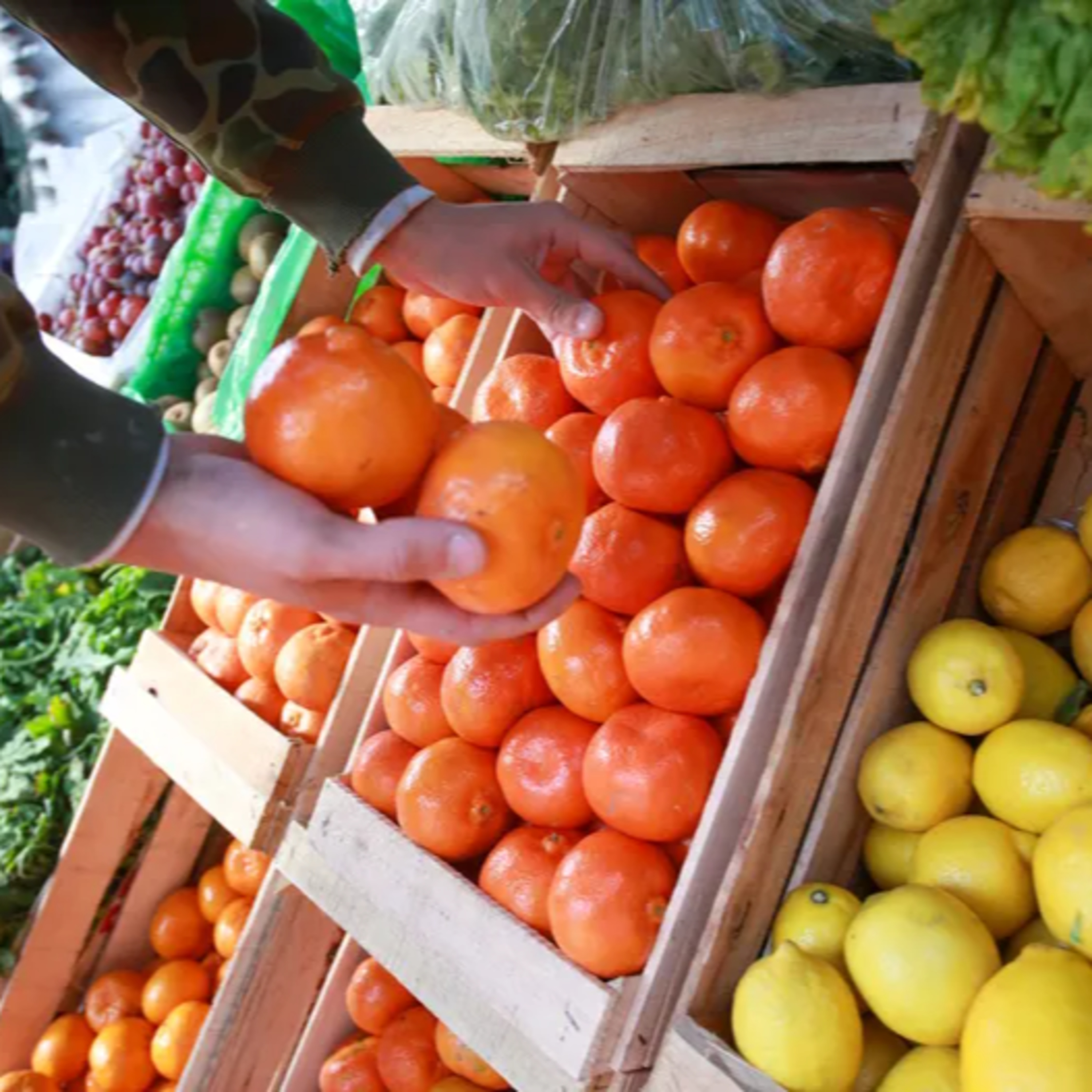 Precios de frutas y verduras de estación - Omar Carrasco episode artwork