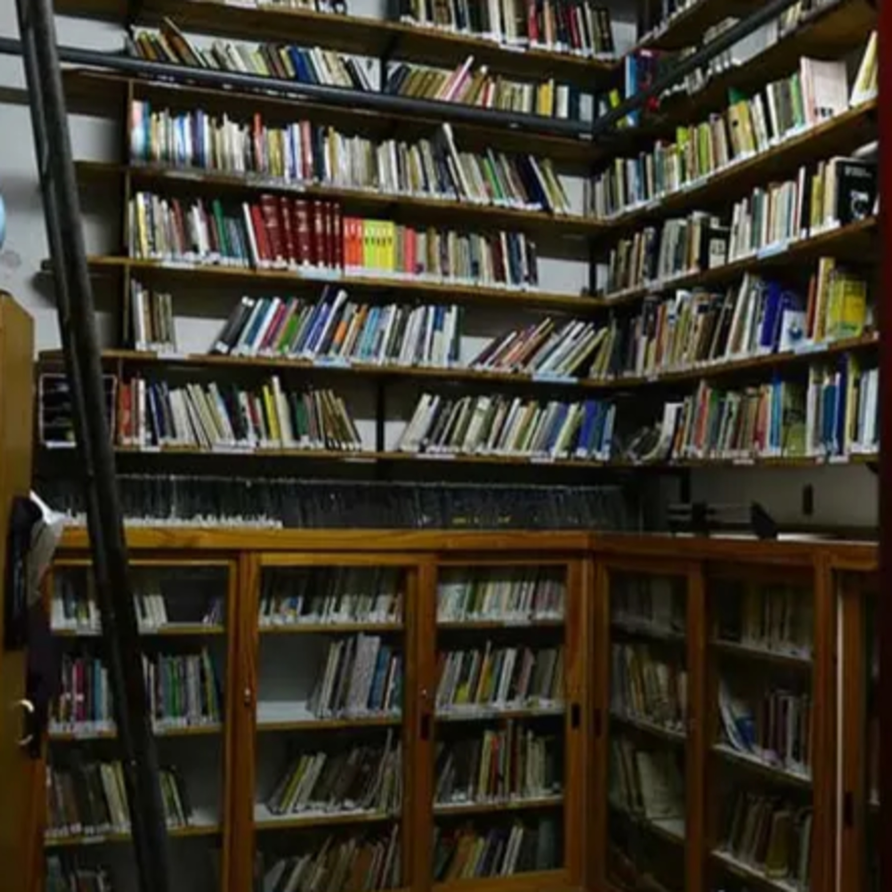 Pedido de colaboración para la Biblioteca Popular David Blanco de Maipú - Nimsi Franciscangeli episode artwork
