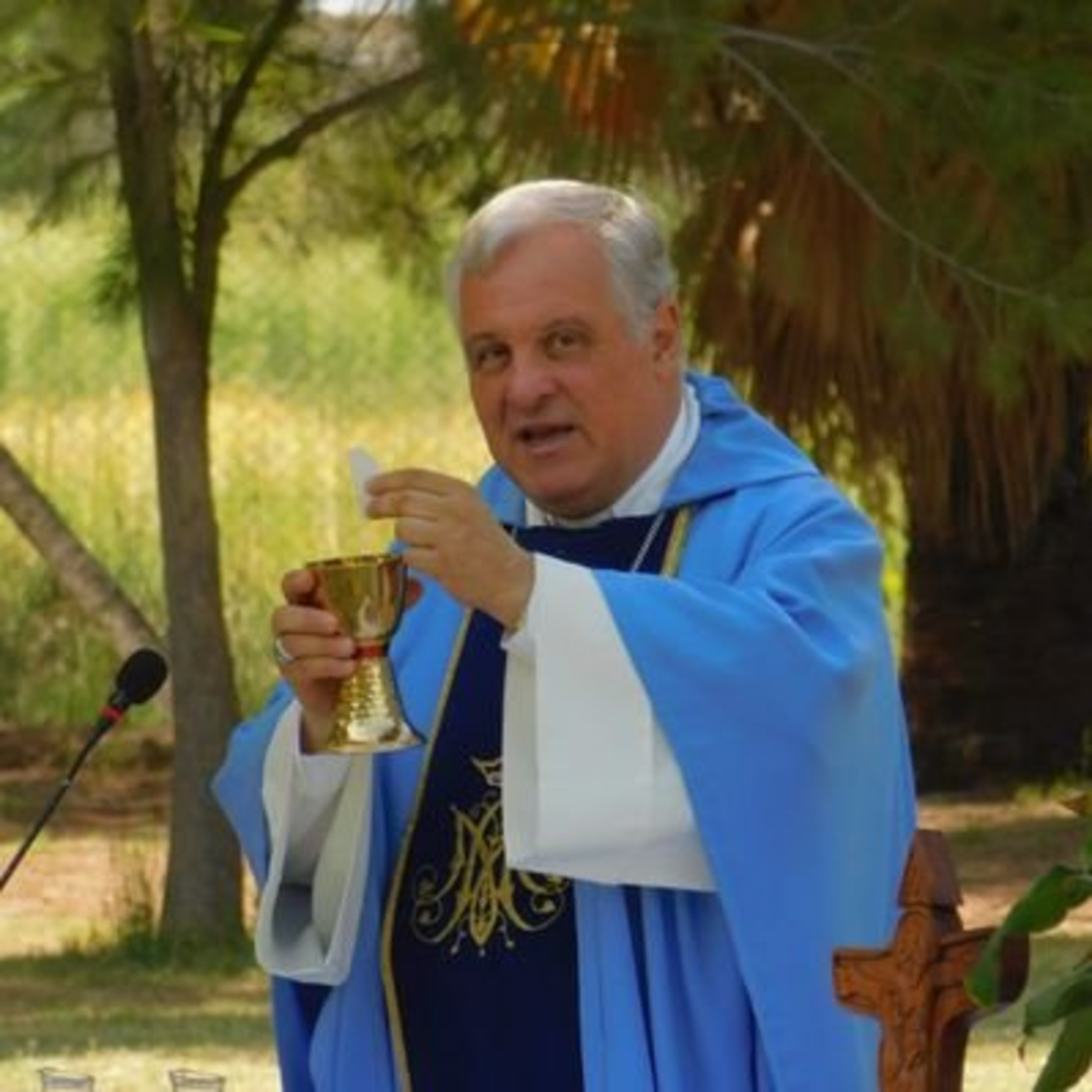 El Papa León llega a la argentina - Marcelo Colombo  episode artwork