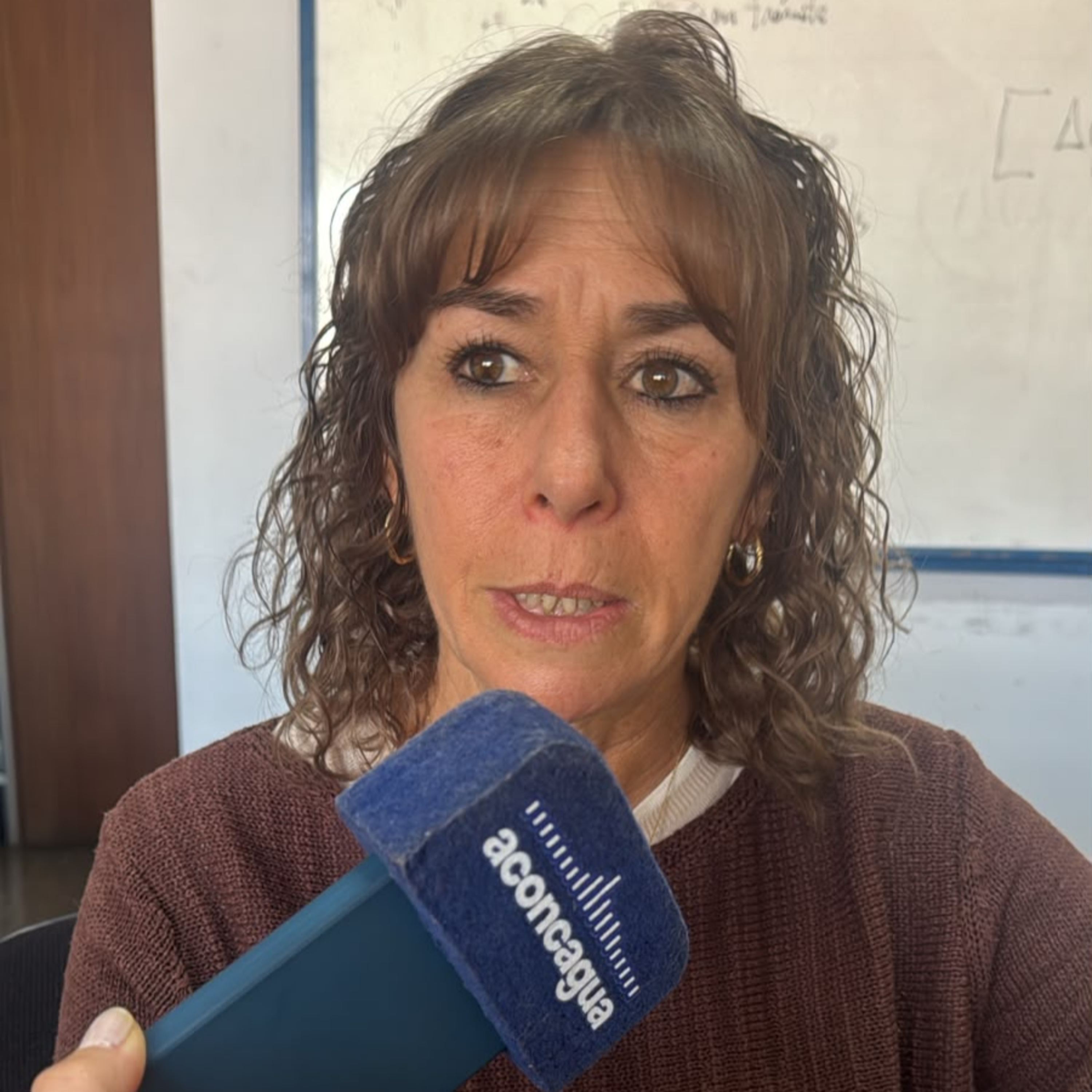 Salud mental en el día de la niñez - Adriana Dolengiewich episode artwork