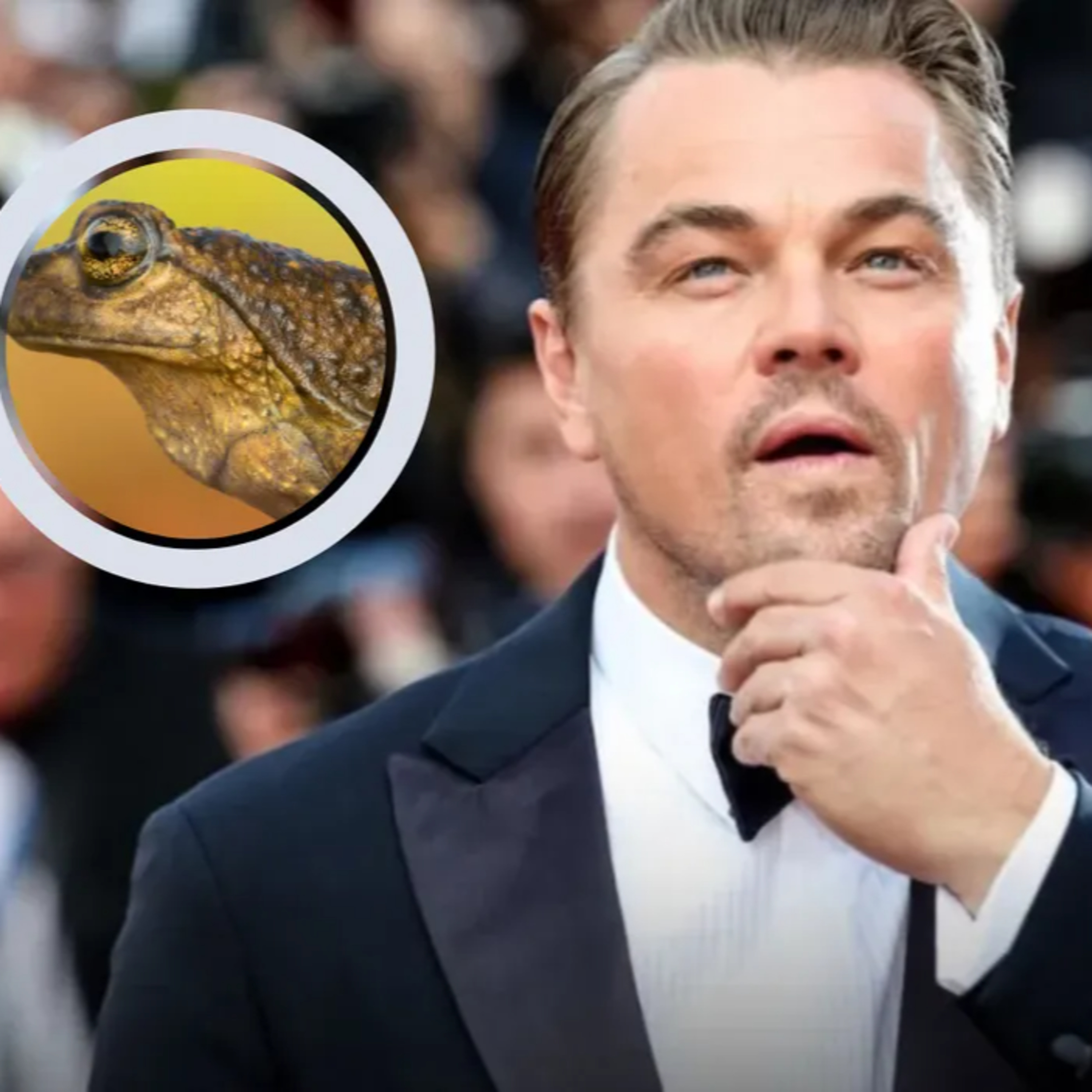 Leonardo DiCaprio defendió a la ranita de Pehuenche - Gabriela Diaz episode artwork