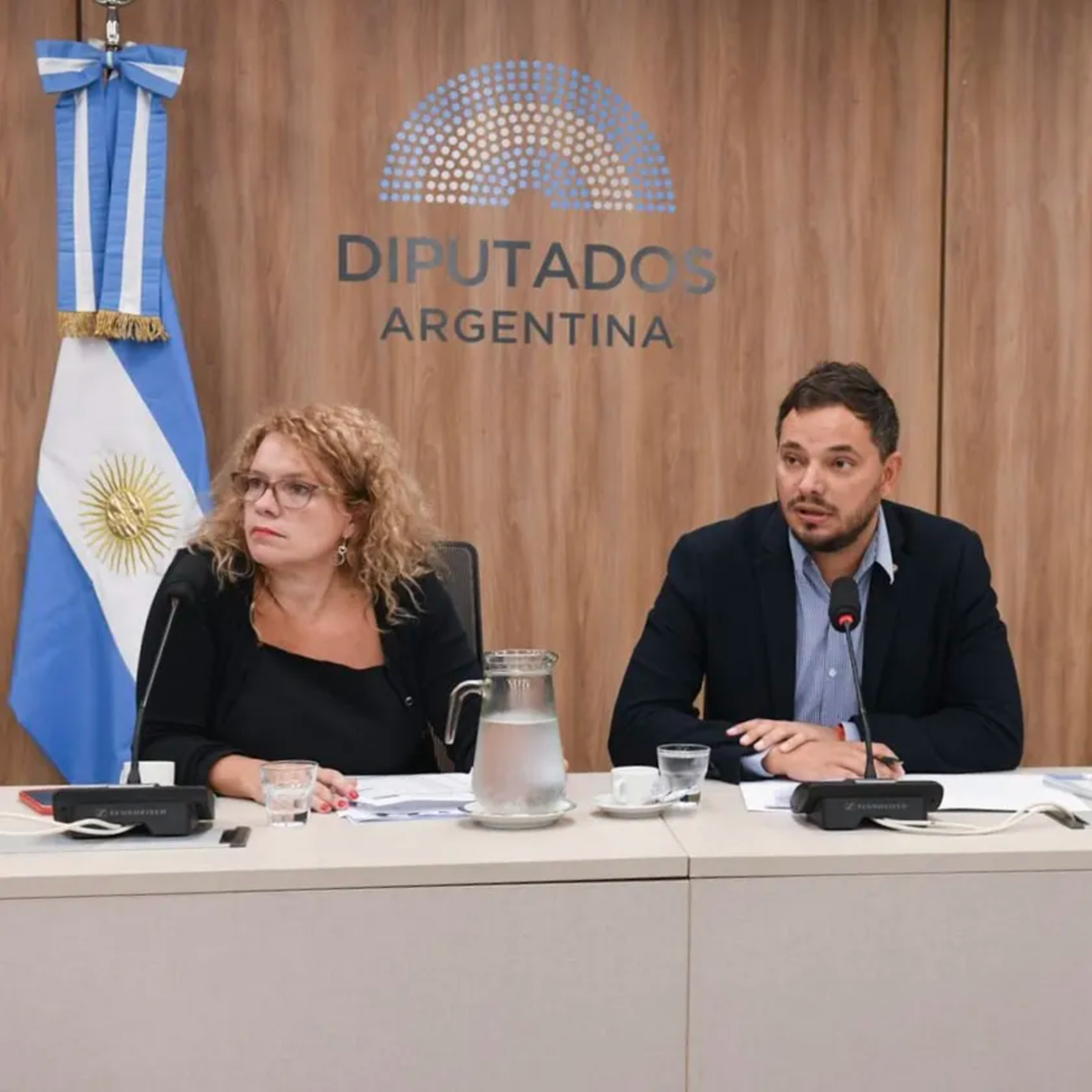 Media sanción a la Reforma de la Carta Orgánica del Banco Central - Álvaro Martínez episode artwork