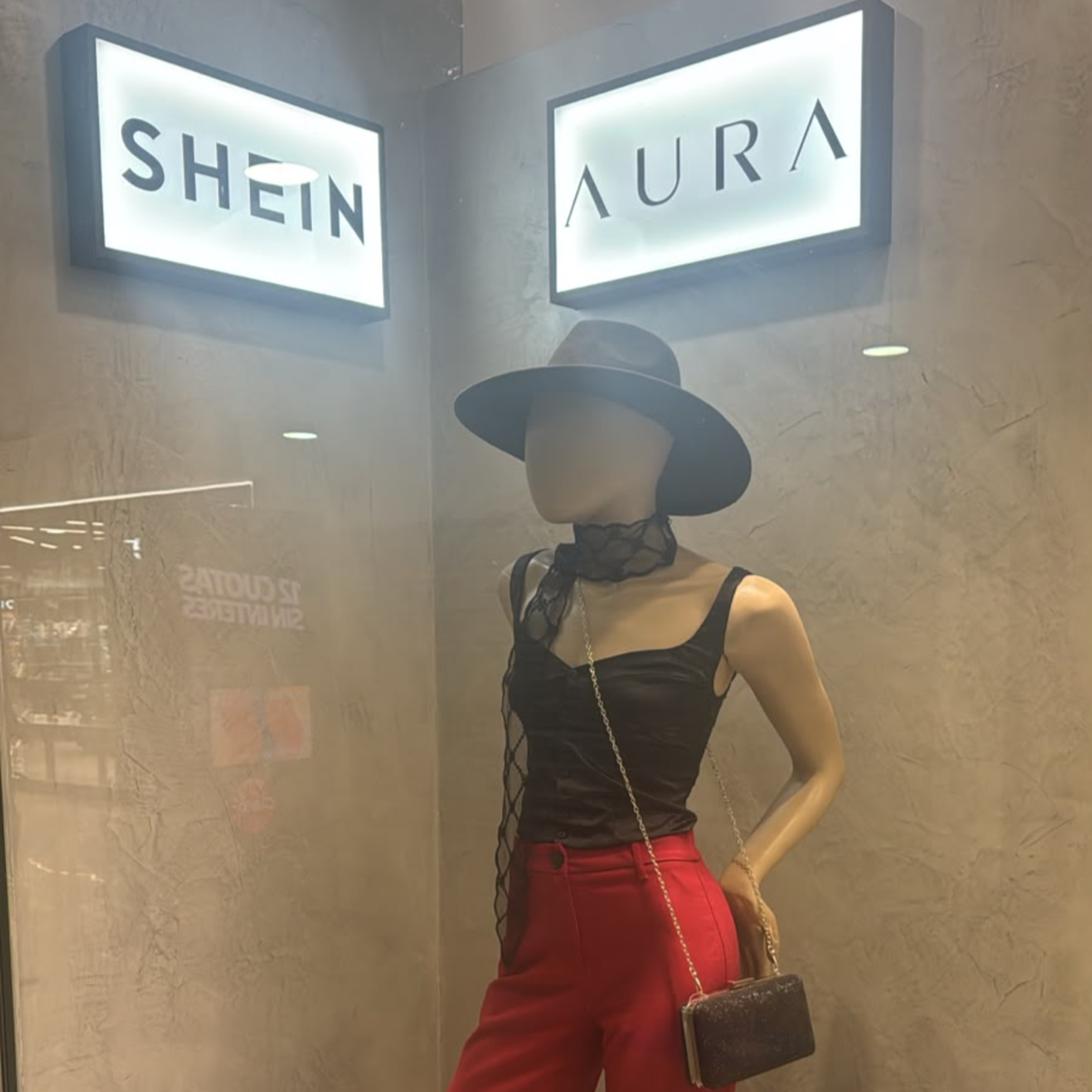Venta de ropa de Shein en Mendoza - Nimsi Franciscangeli  episode artwork