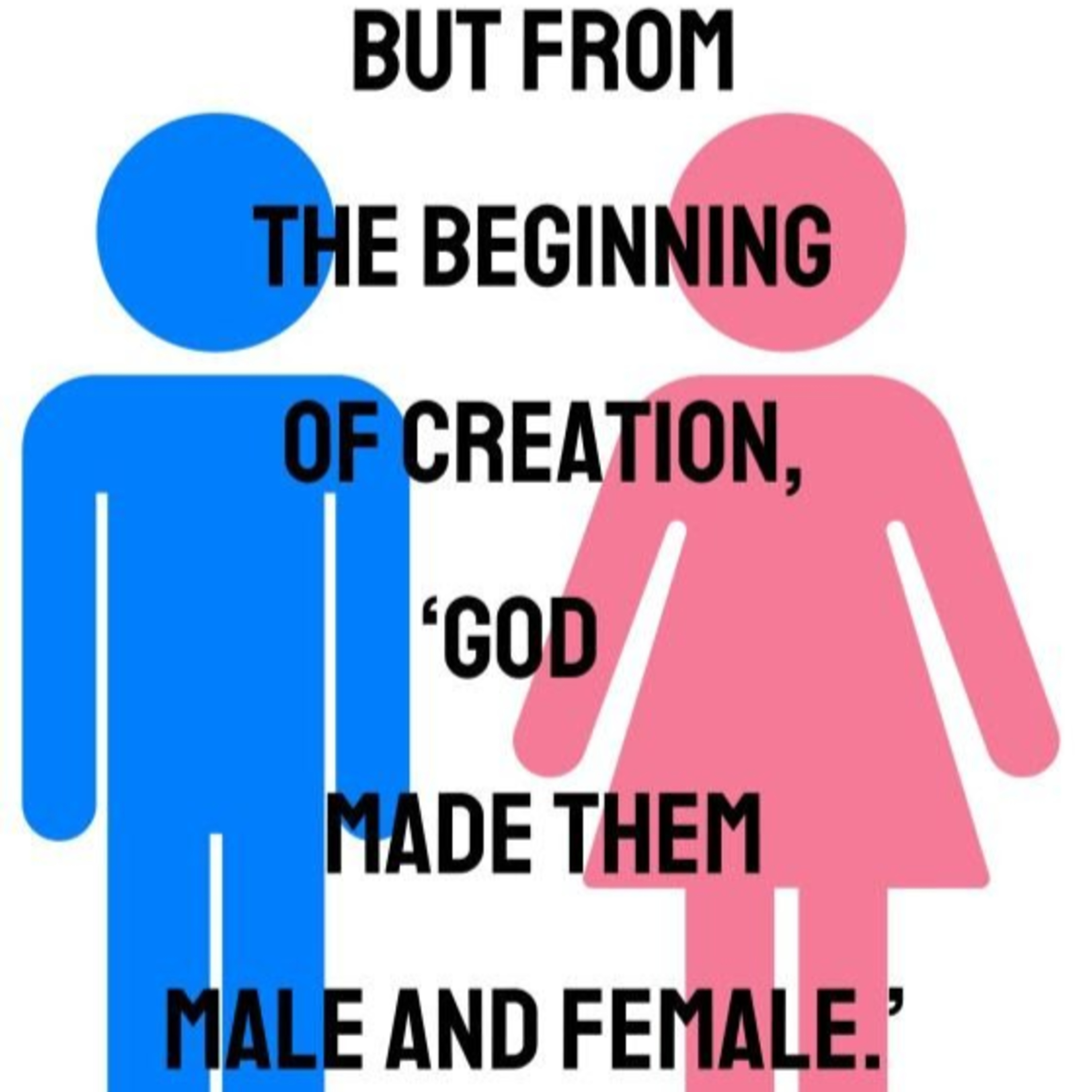 S4 Ep. 25 – Two Genders episode artwork