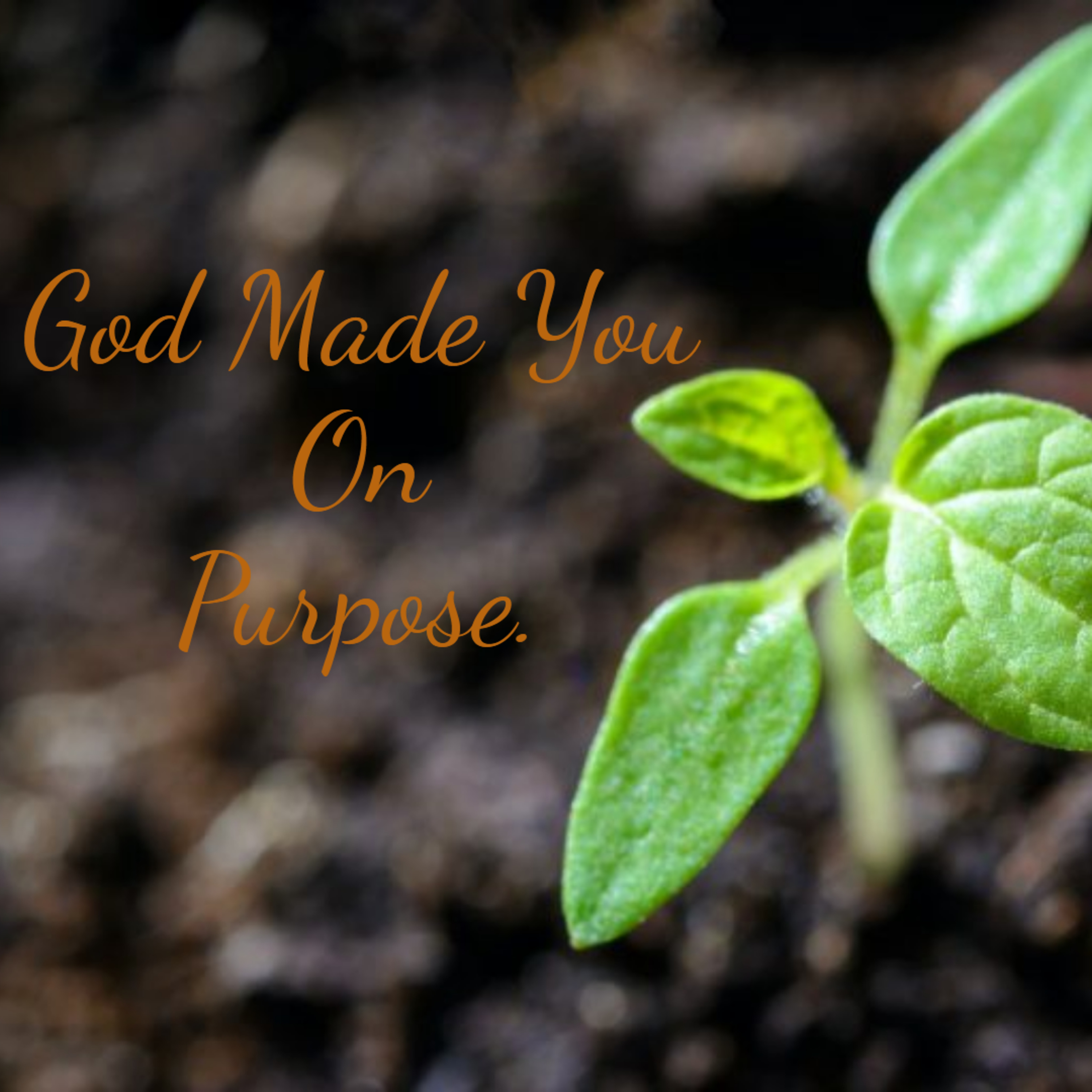 S4 Ep. 33 - God Made YOU