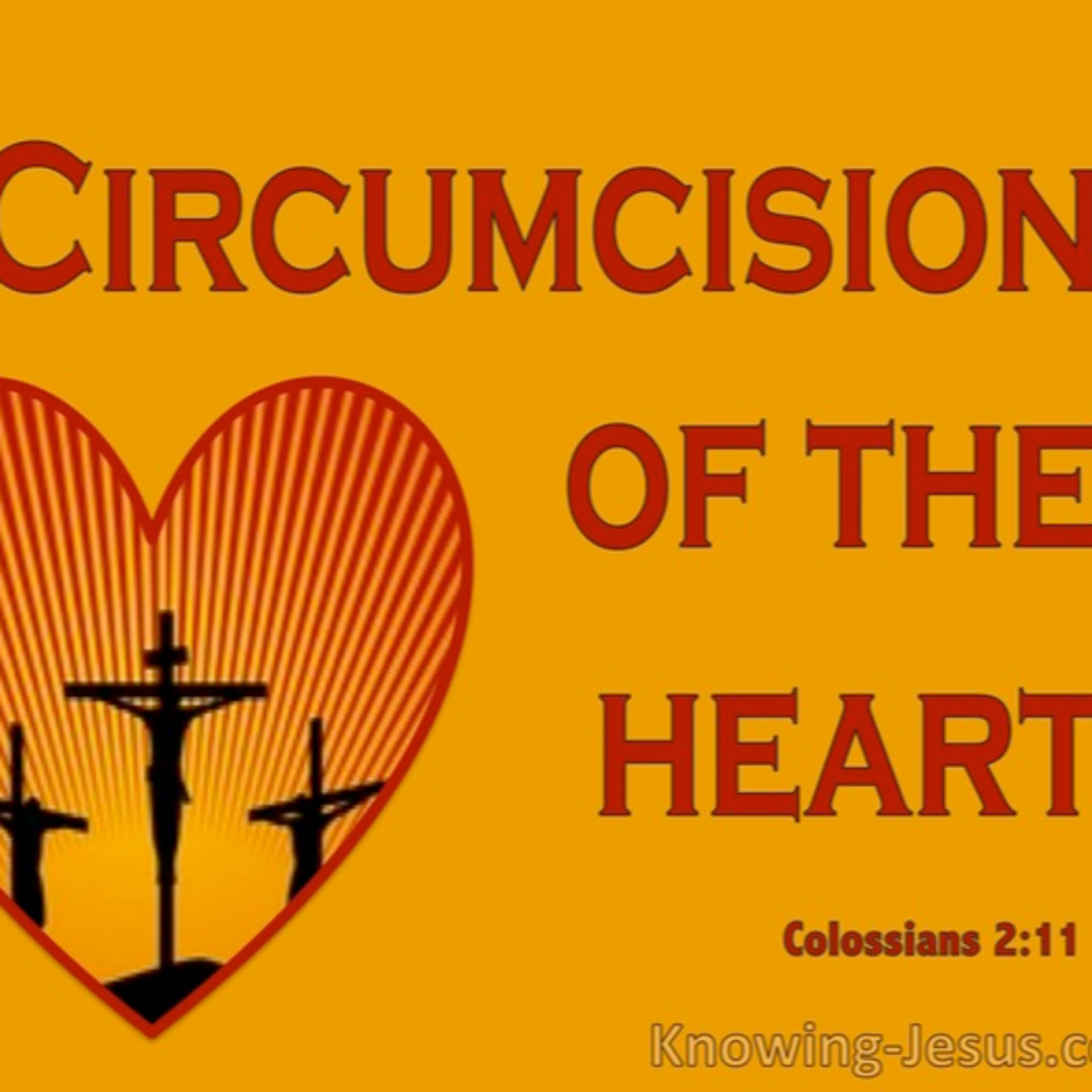 S5 Ep. 9 - Circumcision (VIDEO) episode artwork