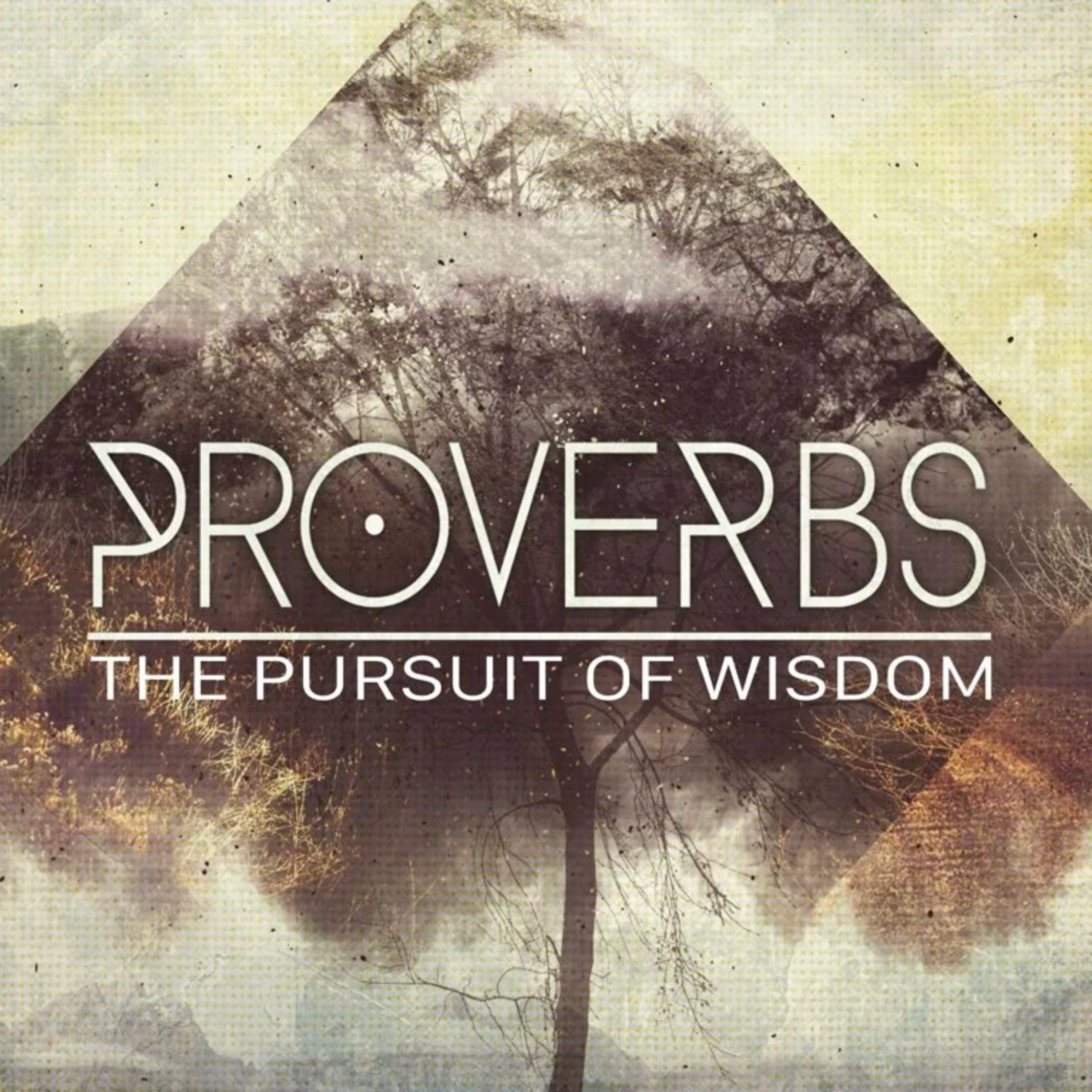 S5 Ep.10 - Wisdom pt. 9 Prov.26-28 episode artwork