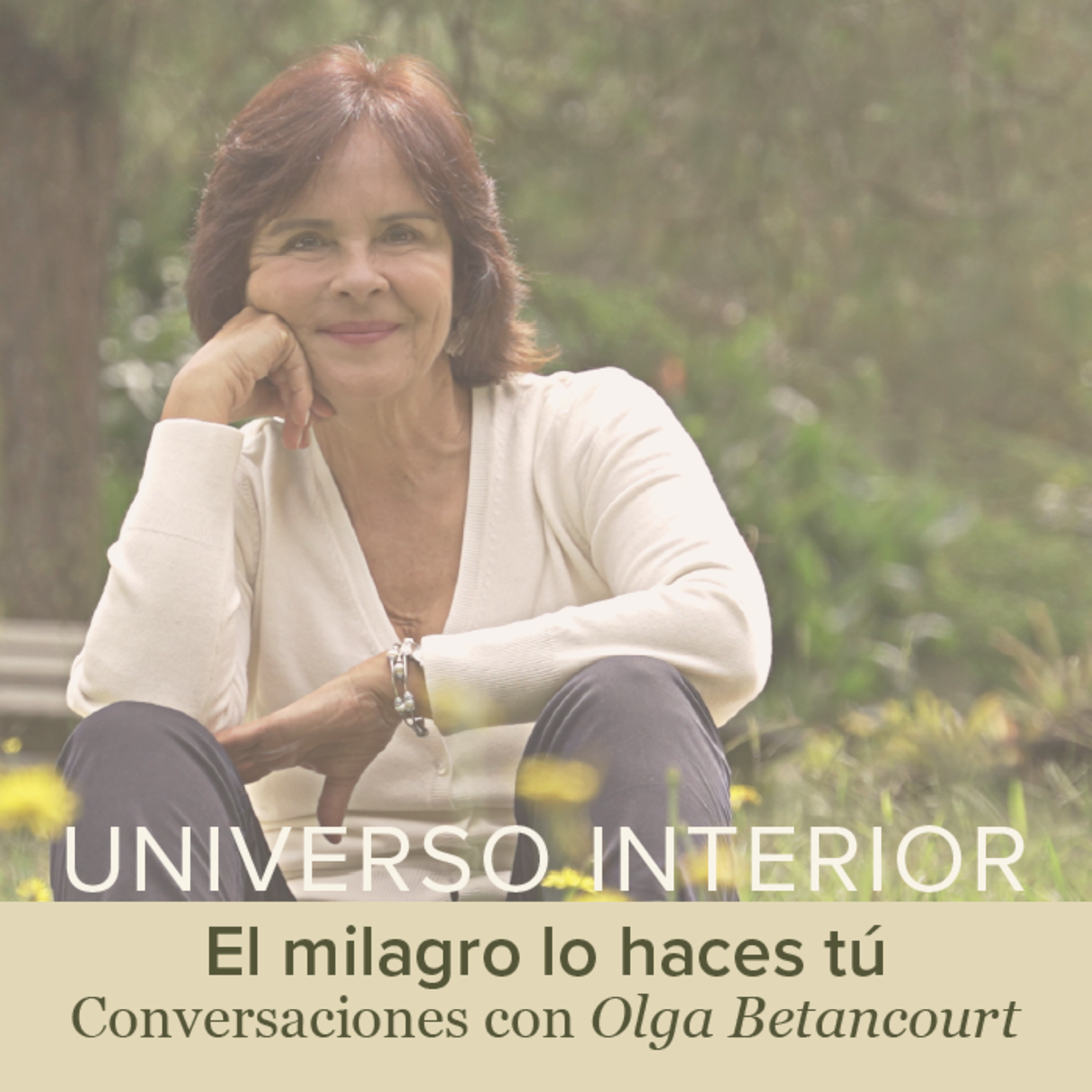 Universo Interior