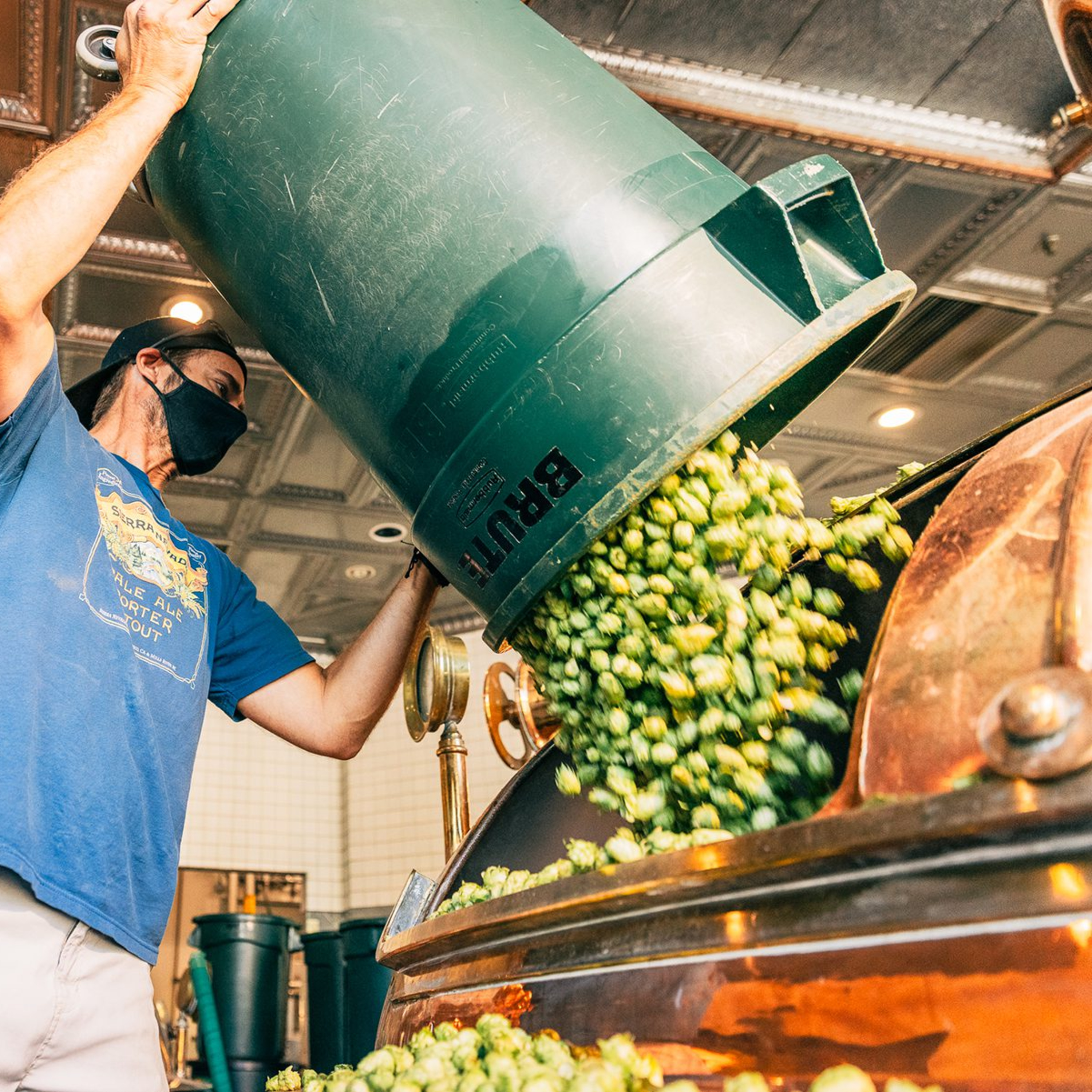 Beyond and Acronym: The History of the IPA - (With Jordan Paley)