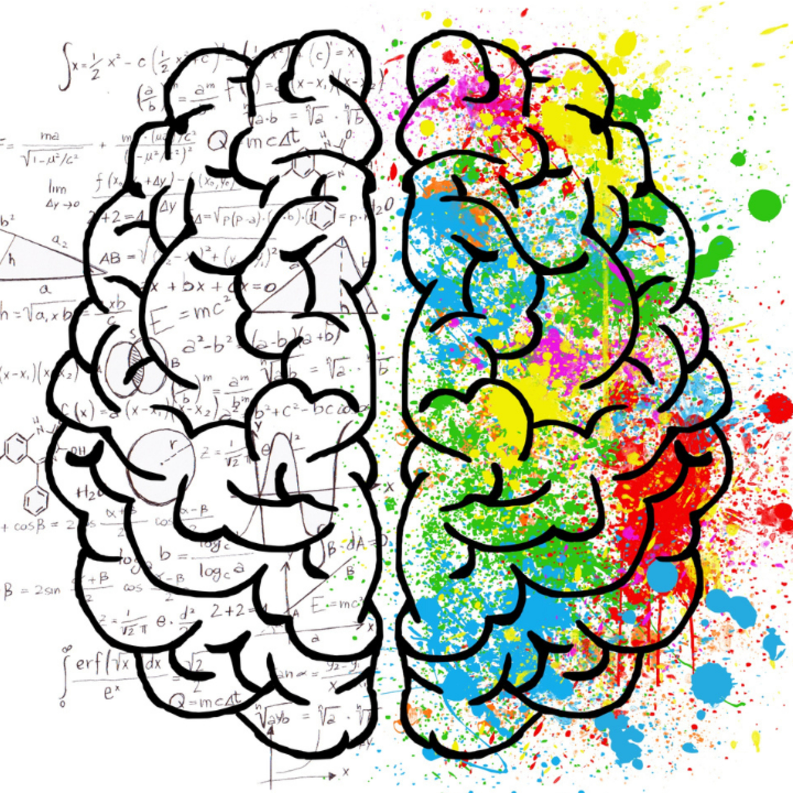 Understanding Your Executive Functioning Skills (Q&A)
