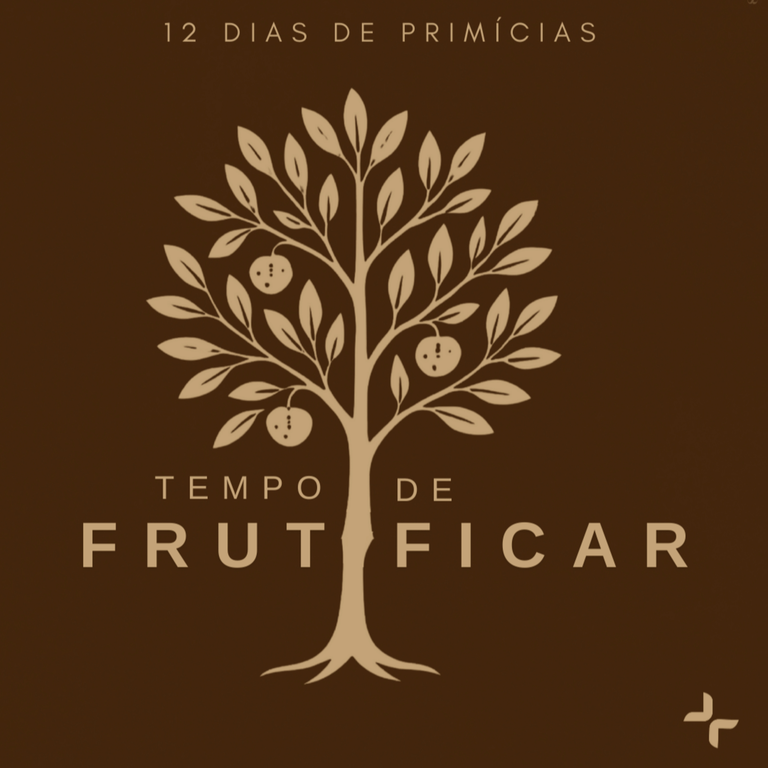 O Tempo de Frutificar - A estação dos frutos - 1 de 12 episode artwork
