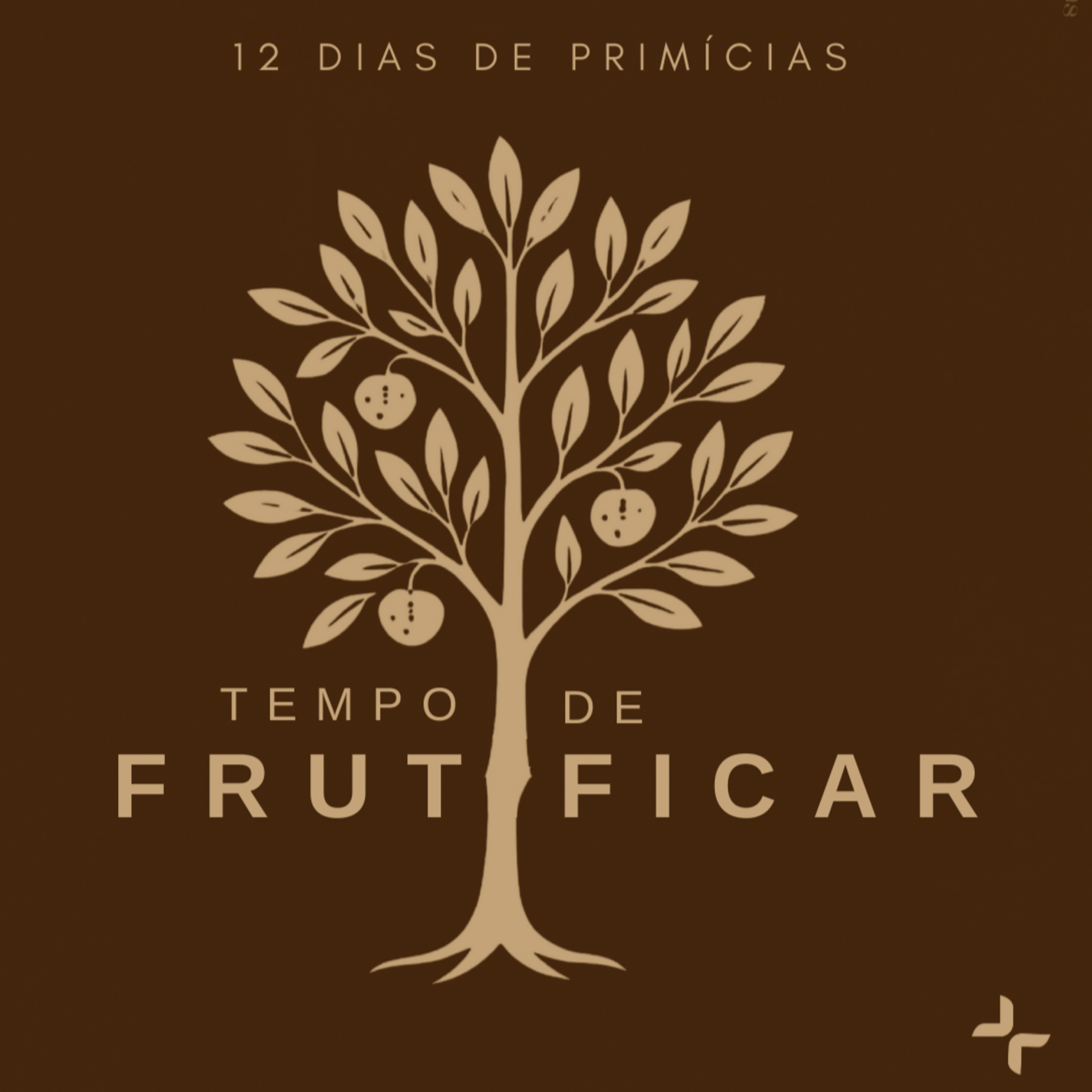 Raízes saudáveis - A saúde das árvores - 3 de 12 episode artwork