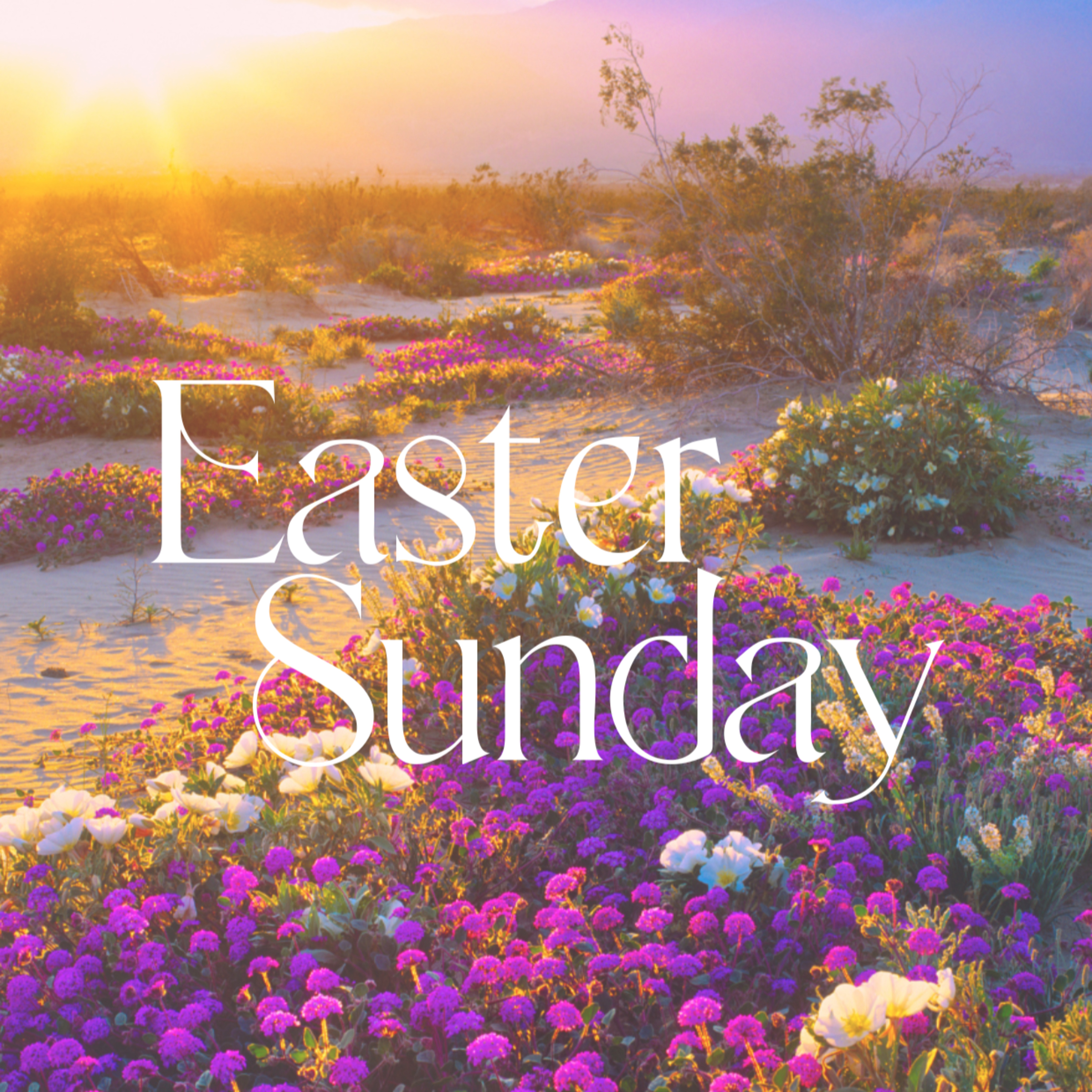 Easter Sunday | Empty of Full?  episode artwork