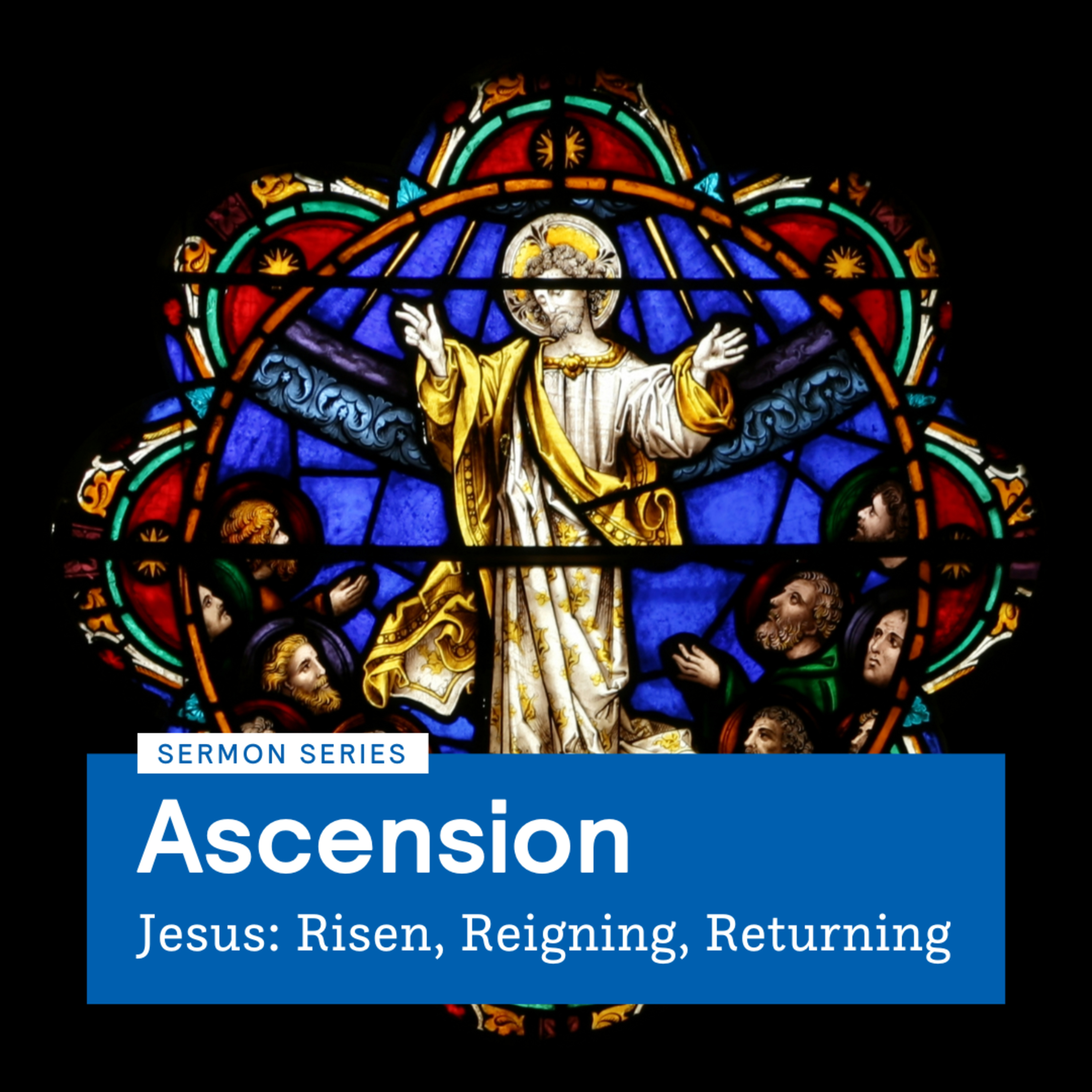 The Ascended Jesus and the World episode artwork
