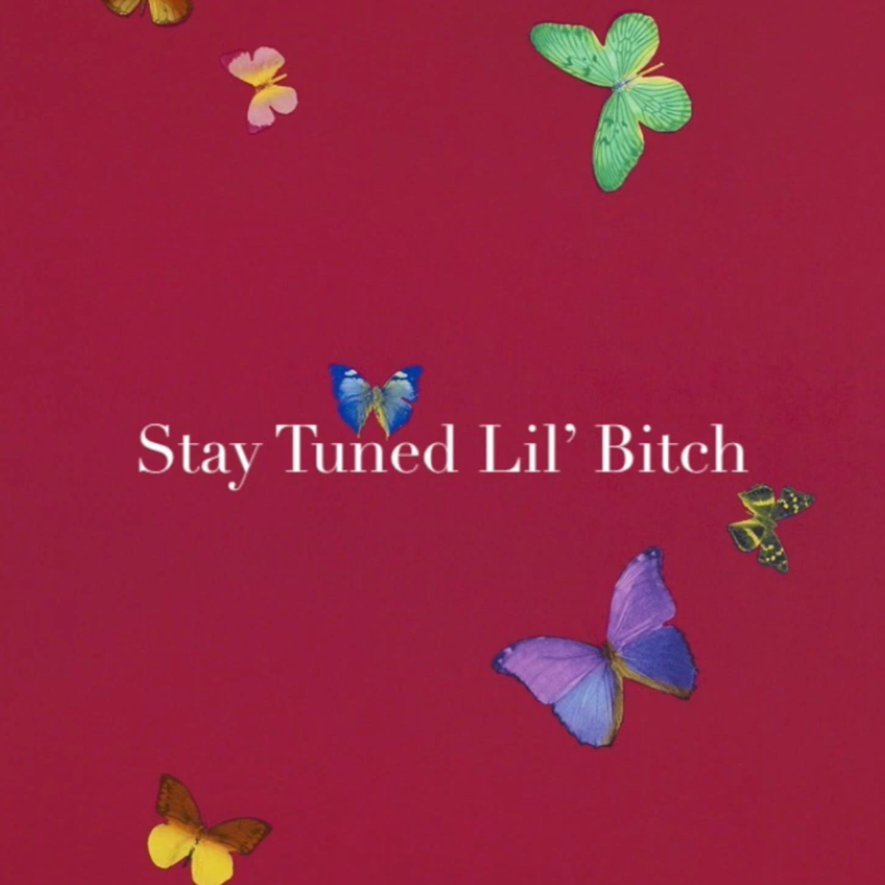 The Stay Tuned Podcast Network