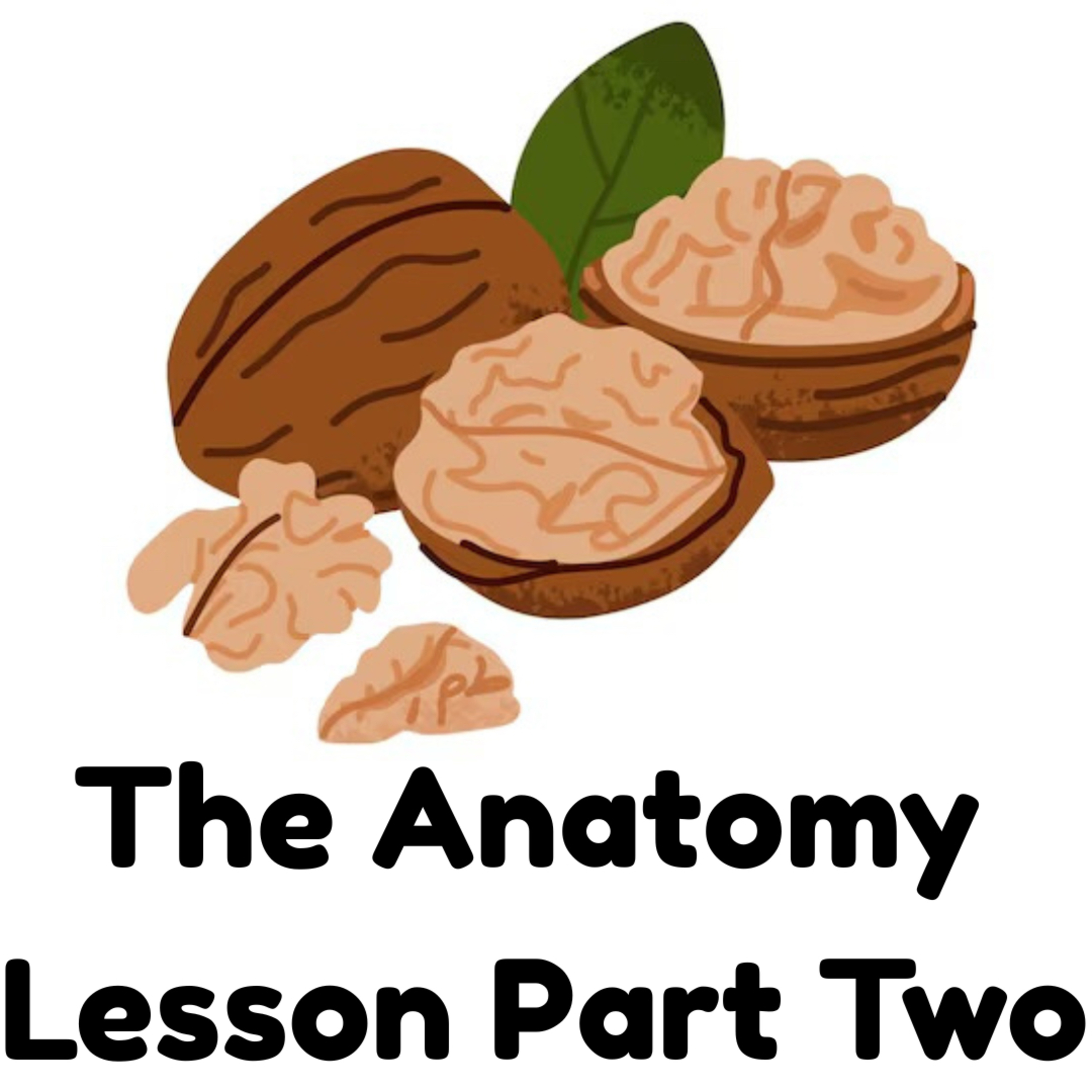 Episode #194: The Anatomy Lesson Part Two episode artwork