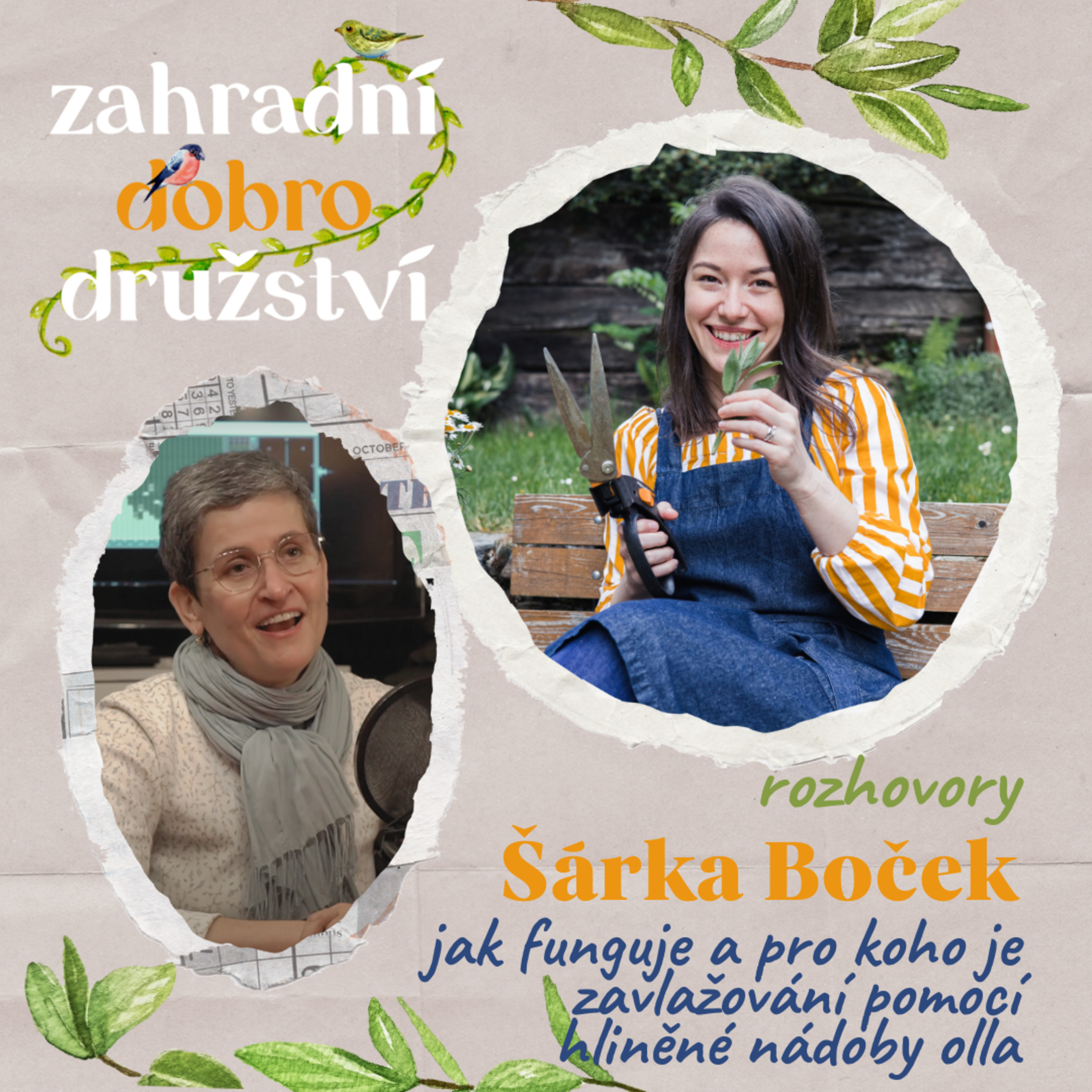 #9 Šárka Boček – jak funguje a pro koho je zavlažování pomocí hliněné nádoby olly episode artwork