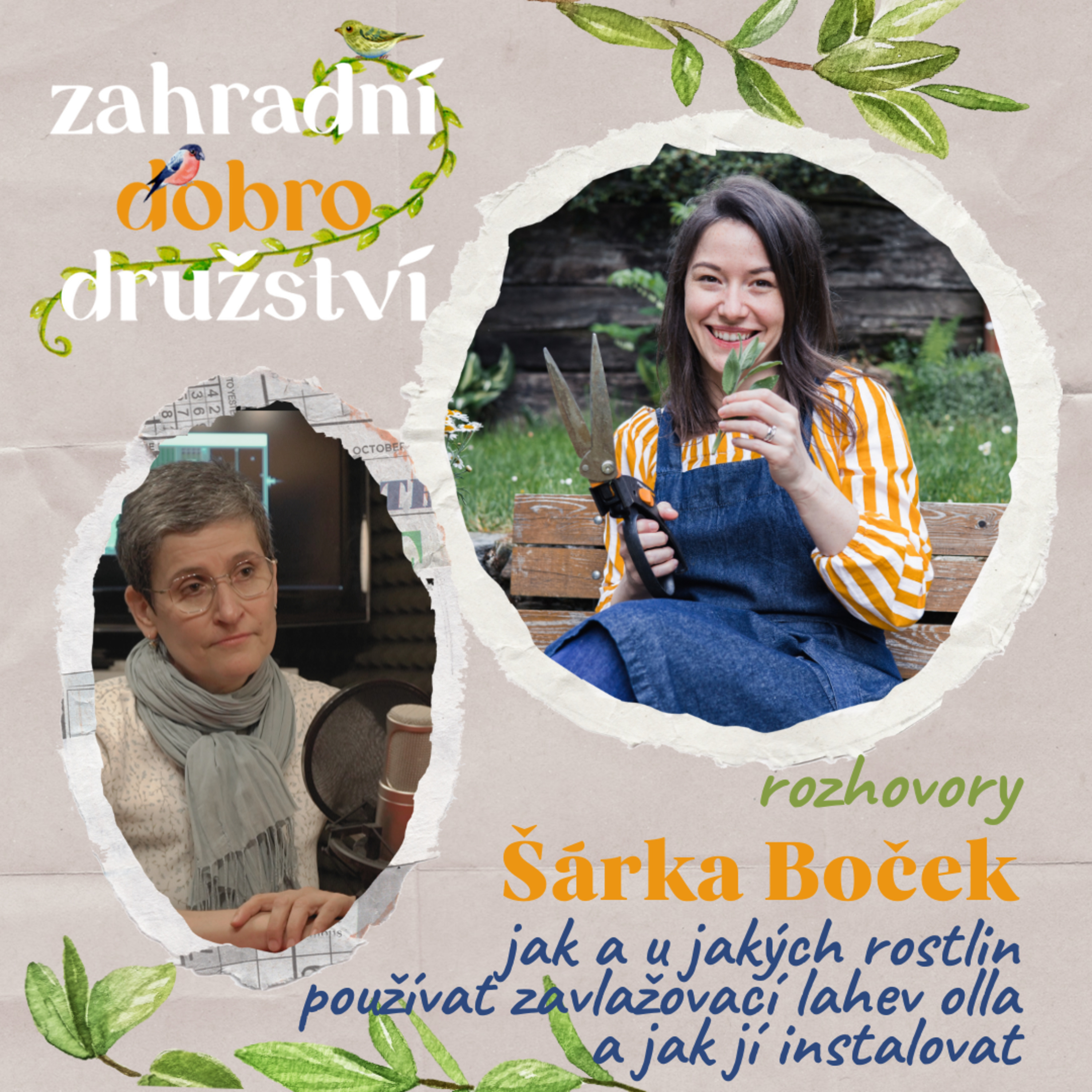 #10 Šárka Boček – jak a u jakých rostlin používat zavlažovací lahev olla a jak jí instalovat