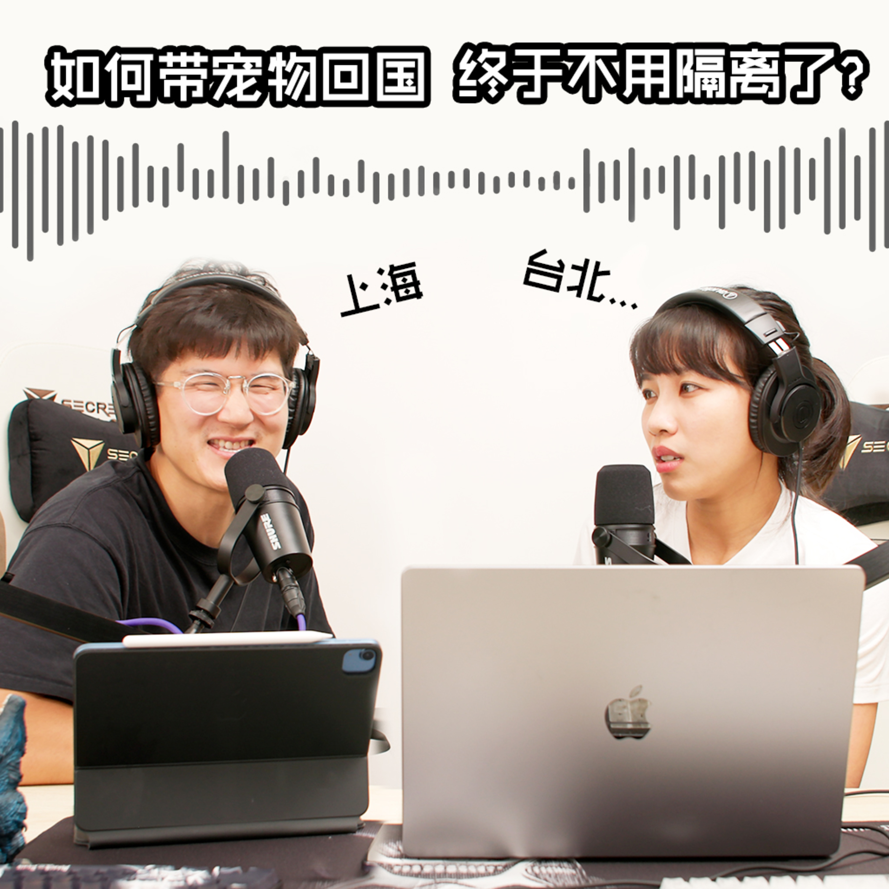 cover of episode 留学生不为人知的心酸之如何带宠物回国