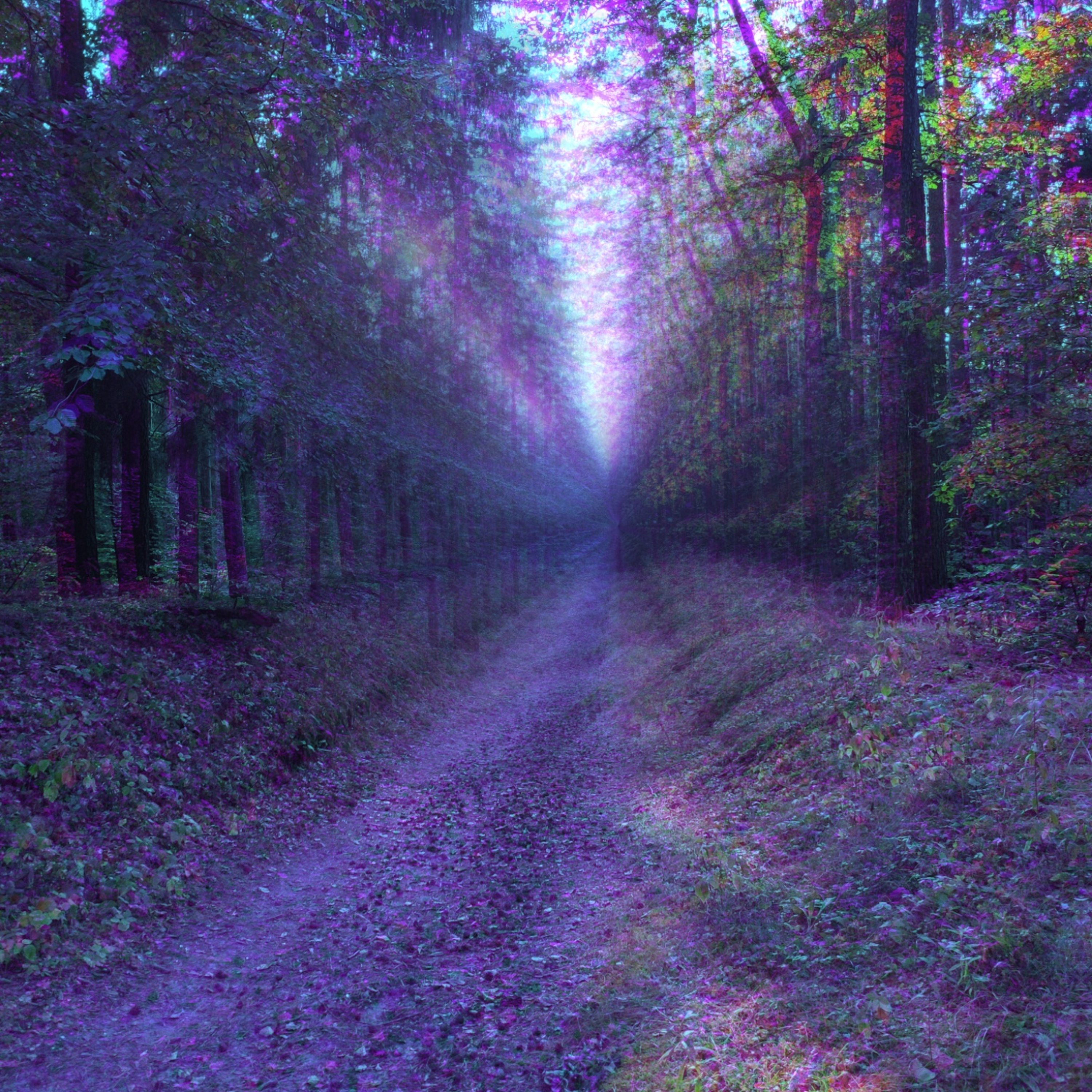 28.08.2025 Audioalienacje - Krzysztof Buzderewicz episode artwork